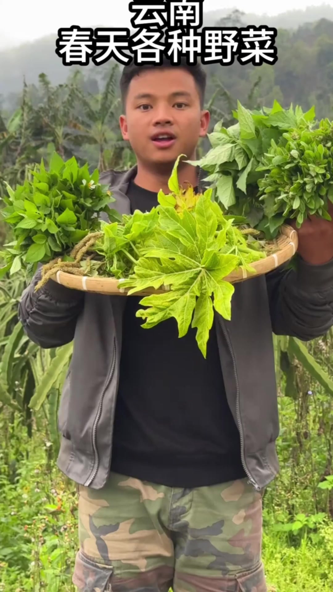 云南田里的下饭野菜，你吃过吗？