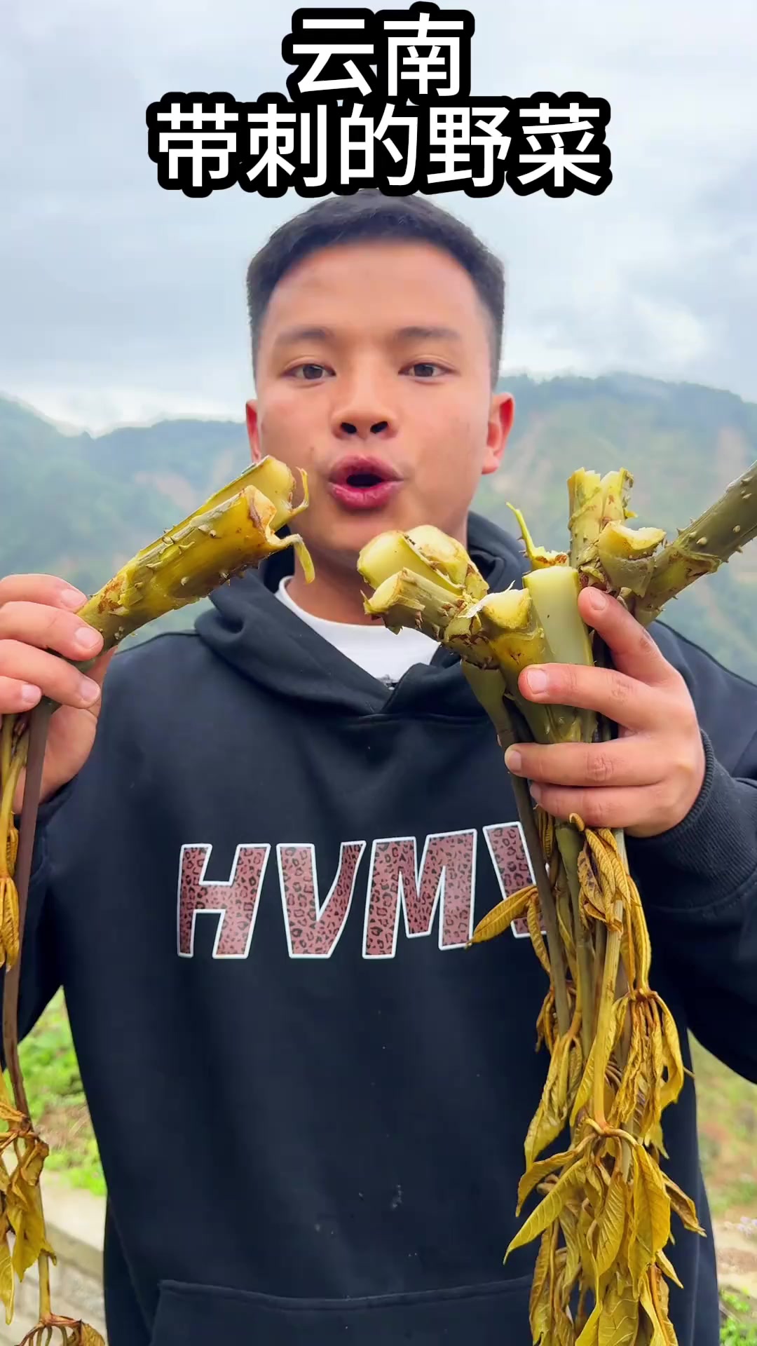 在我们云南一年四季都有吃不完的野菜