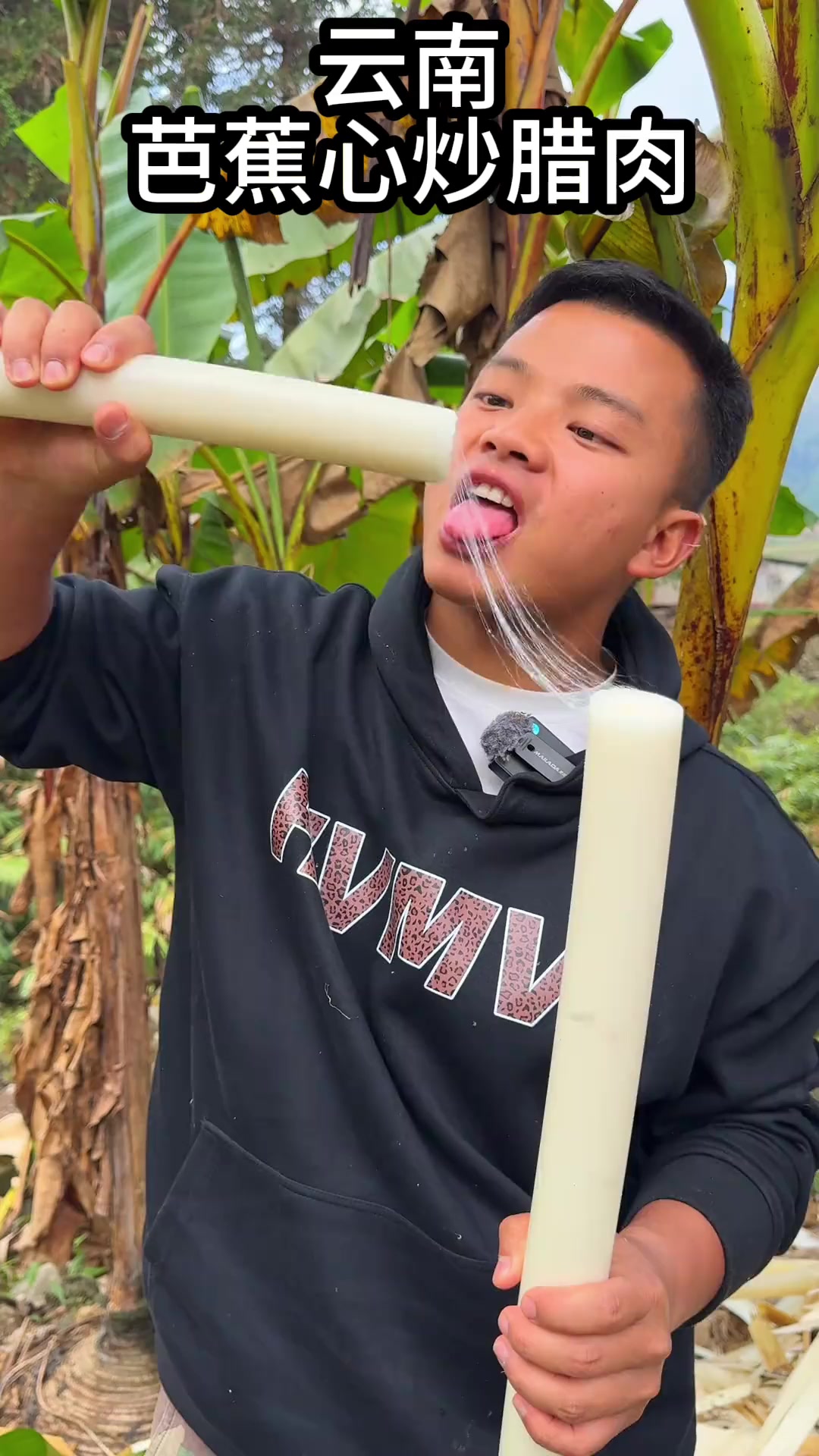 大家在野外非常渴的时候，芭蕉树可以像我这样处理就可以食用了