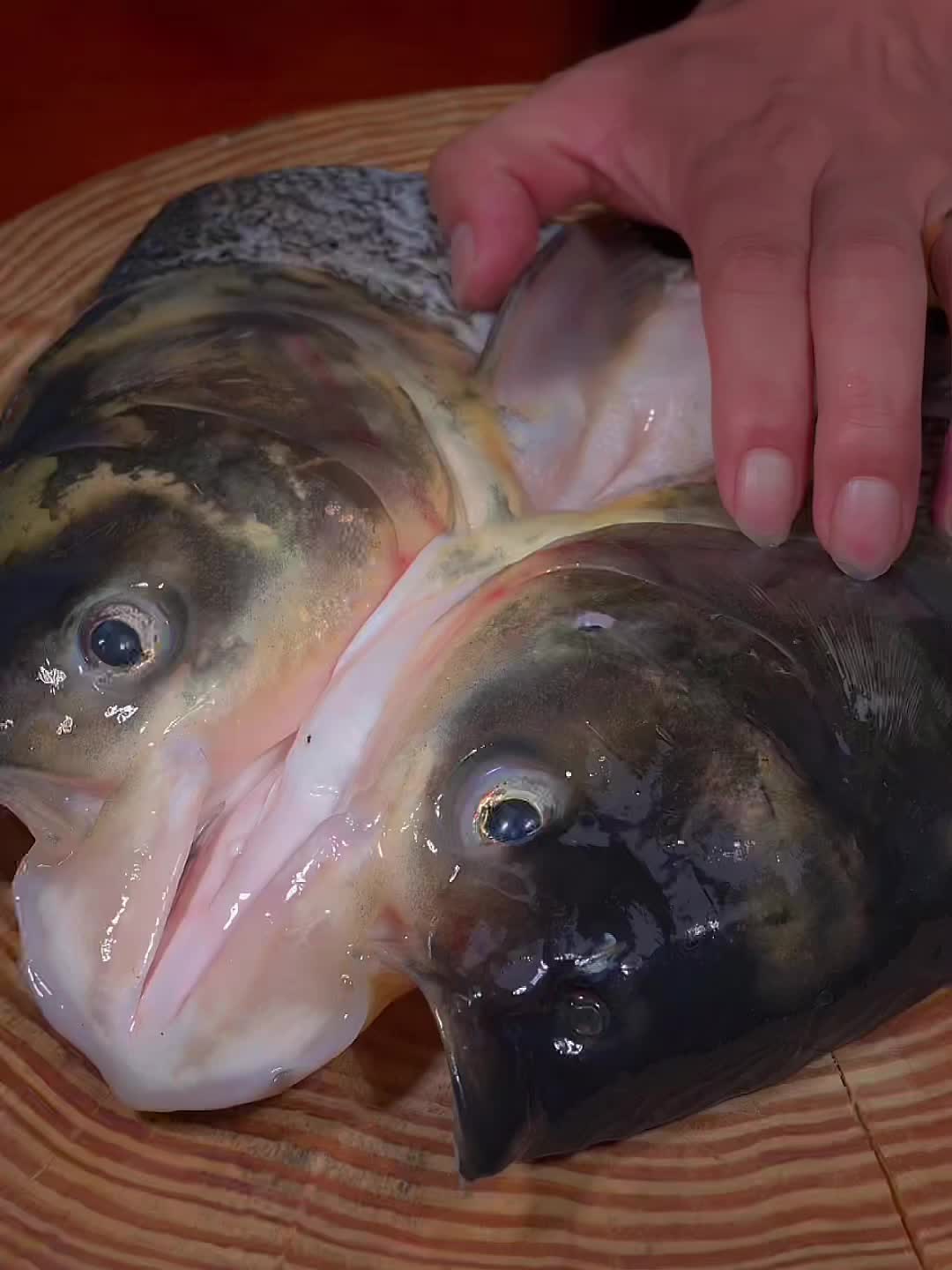 家传秘法鱼头鲜嫩不柴一口上瘾！