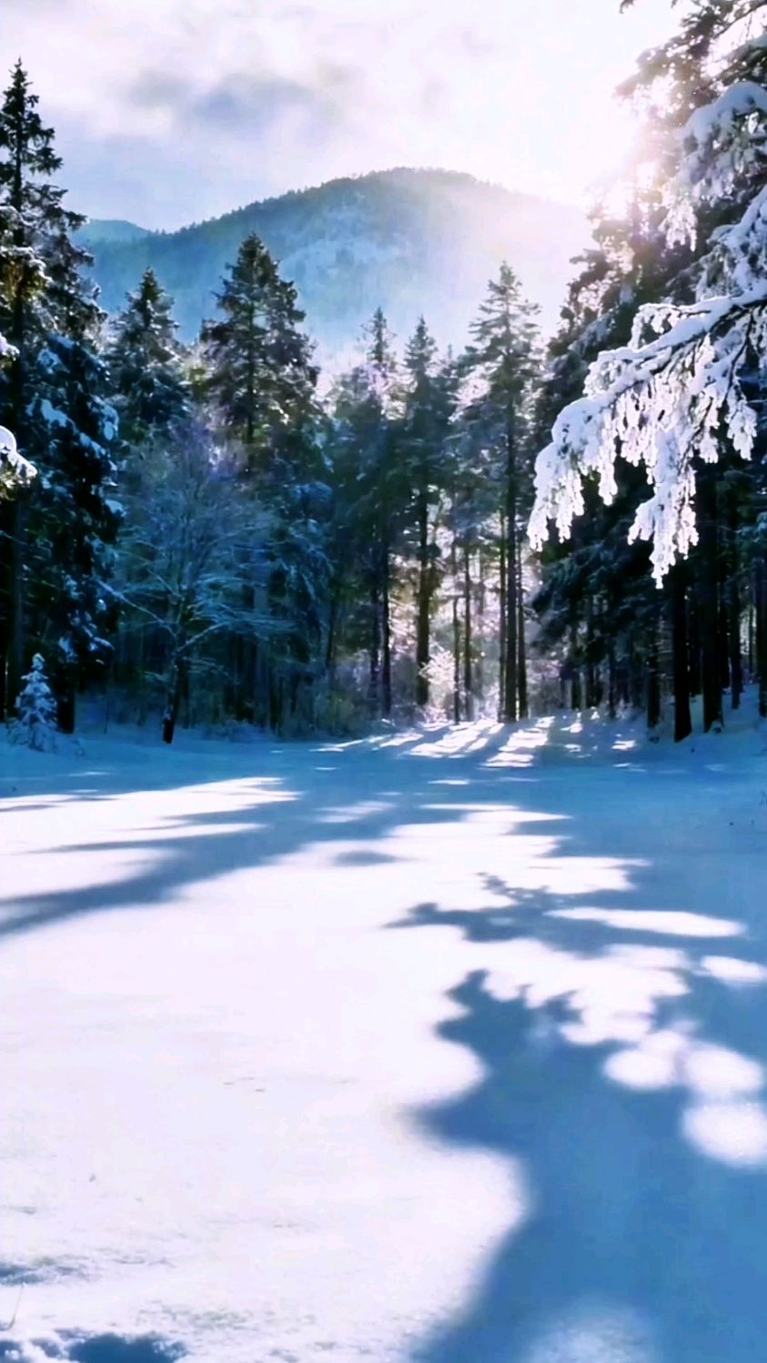 雪窗透暖光,红梅映茶香。慢品岁月长。禅意生香,早安。