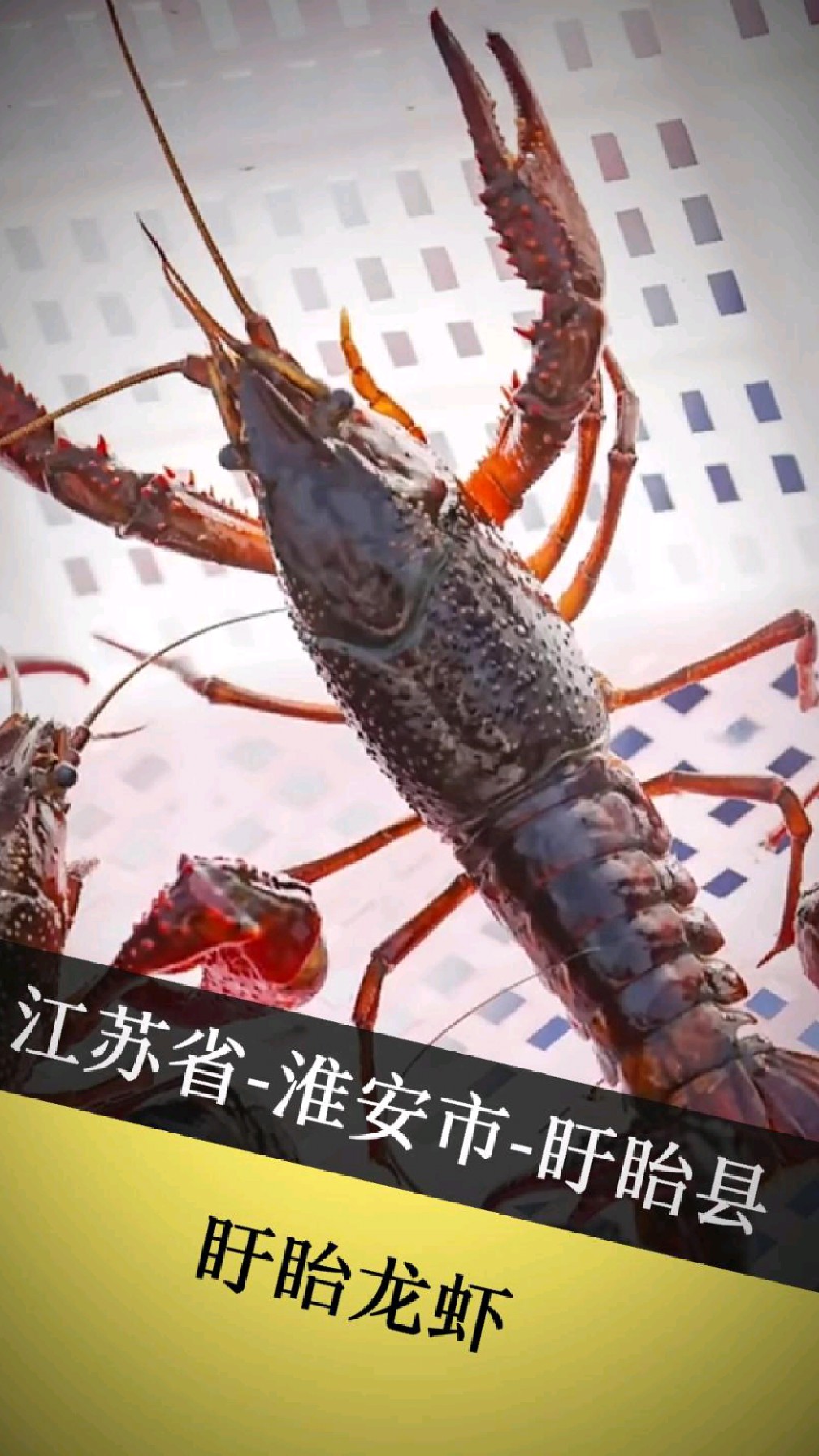 盱眙龙虾：从“害虫”逆袭成夜宵之王，凭啥让乾隆都写诗点赞？