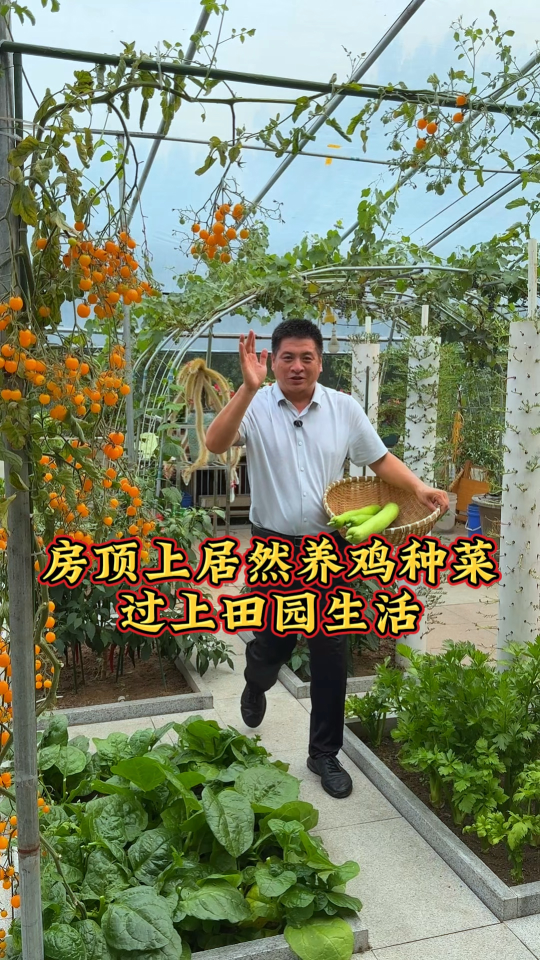 #房顶菜园  房顶上种菜养鸡过上田园生活，这样的日子你喜欢吗？