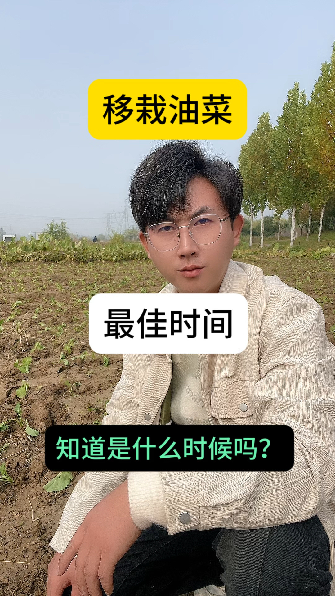 油菜种植 移栽油菜的最佳时间