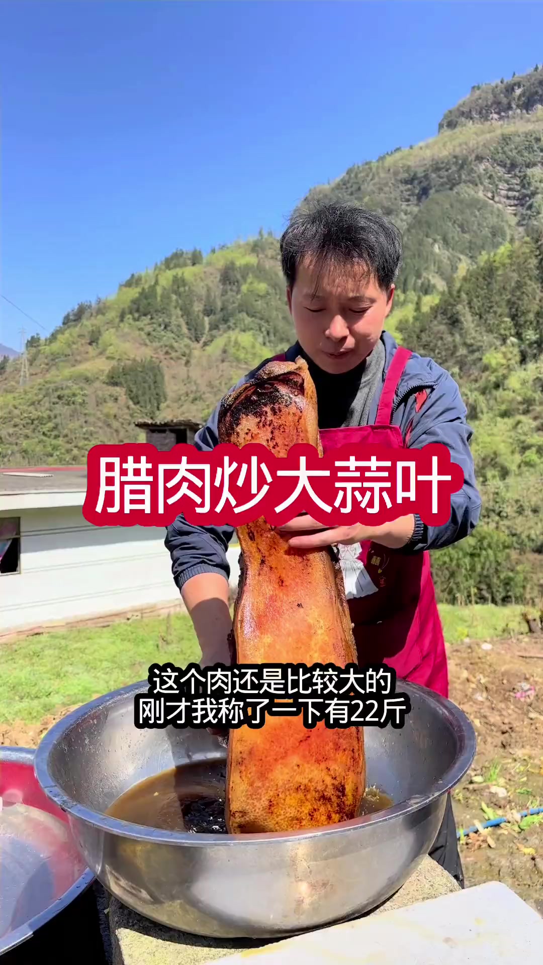今天烧一块腊肉,炒大蒜叶吃