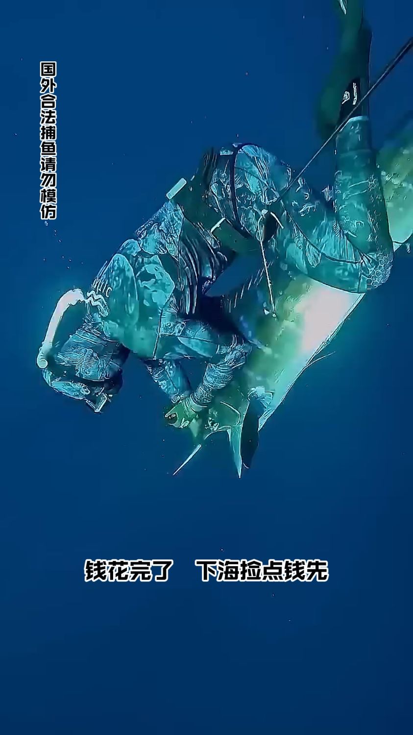 下海潜水抓鱼收获满满