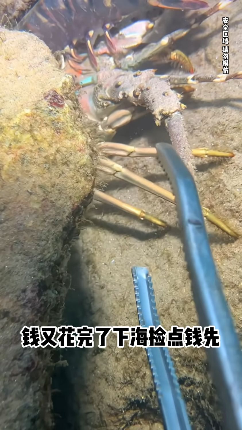 渔民海底赶海之下海就抓到了大龙虾 #赶海 #真实户外 #捕鱼 #渔