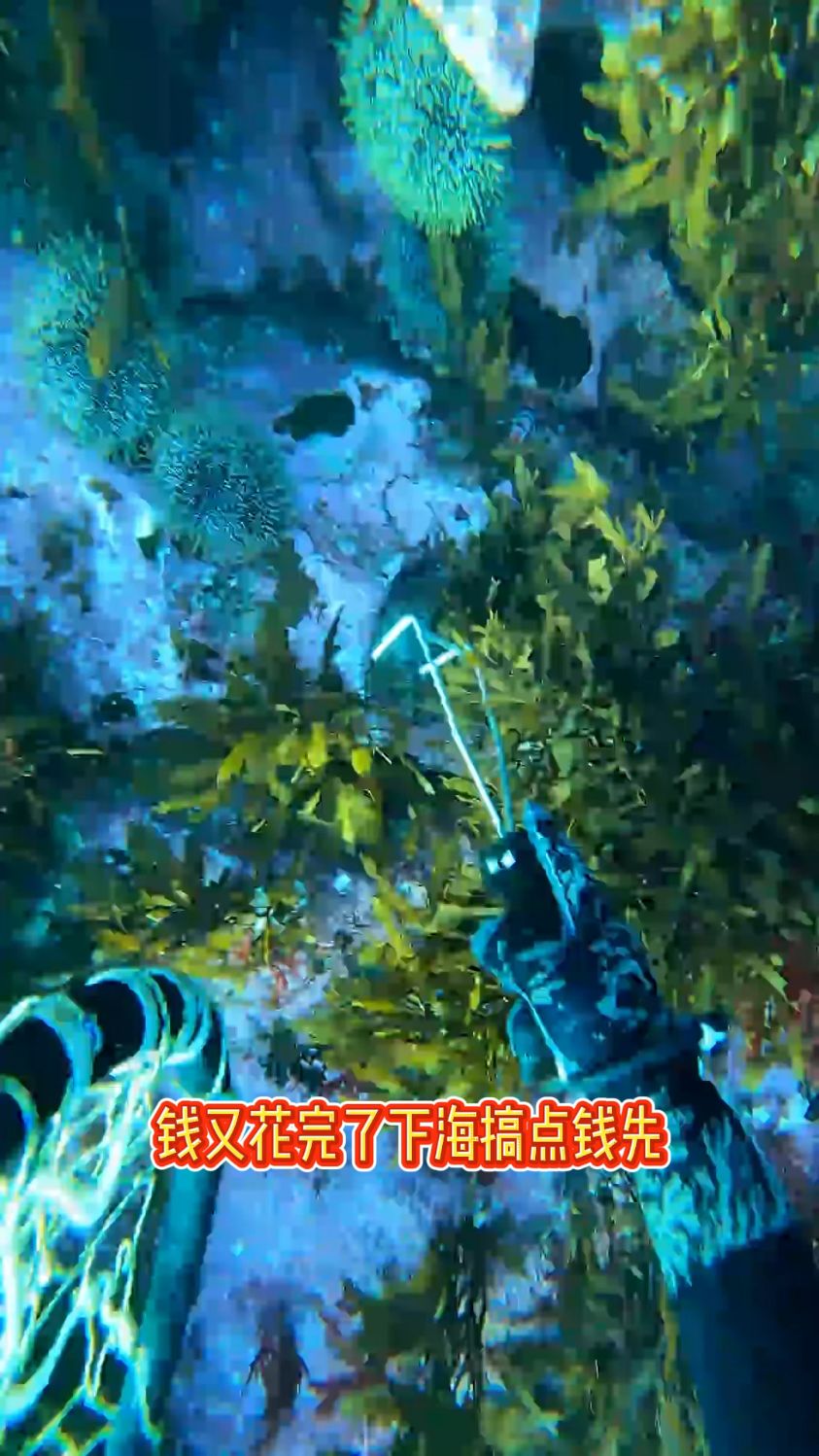 赶海抓鱼抓龙虾收获还不错 #海底世界 #水下拍摄 #赶海 #渔民日常