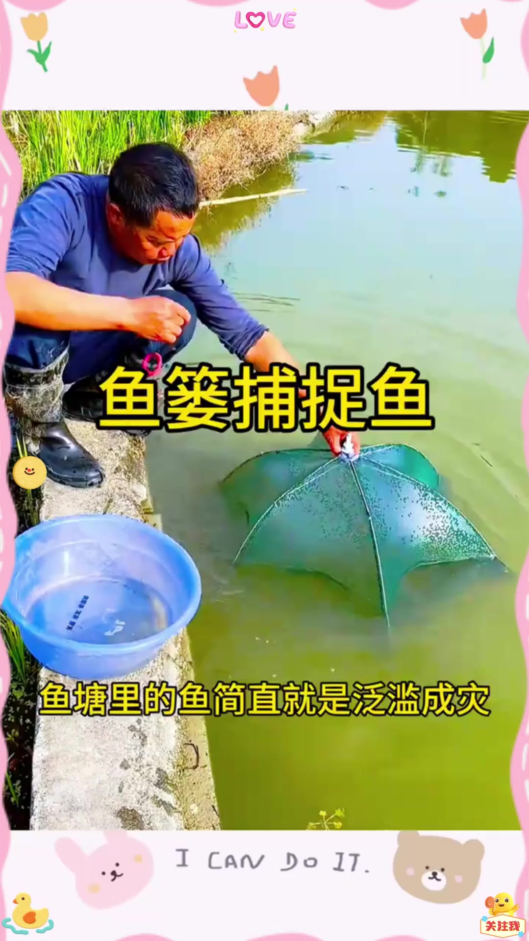 鱼塘里的鱼泛滥成灾，男子利用鱼篓捕捉鱼货