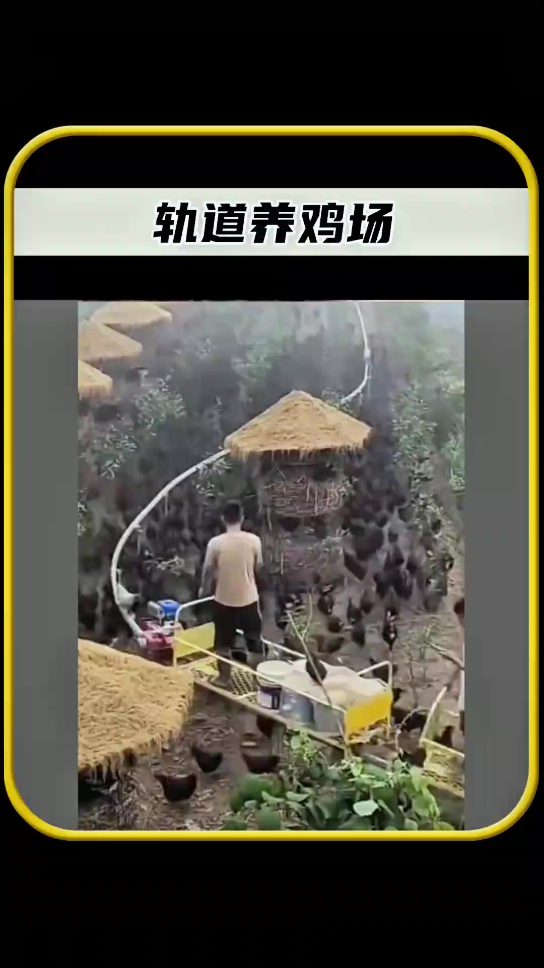 全世界独一无二的轨道养鸡场，每只鸡都住上了豪华单间，值得一看