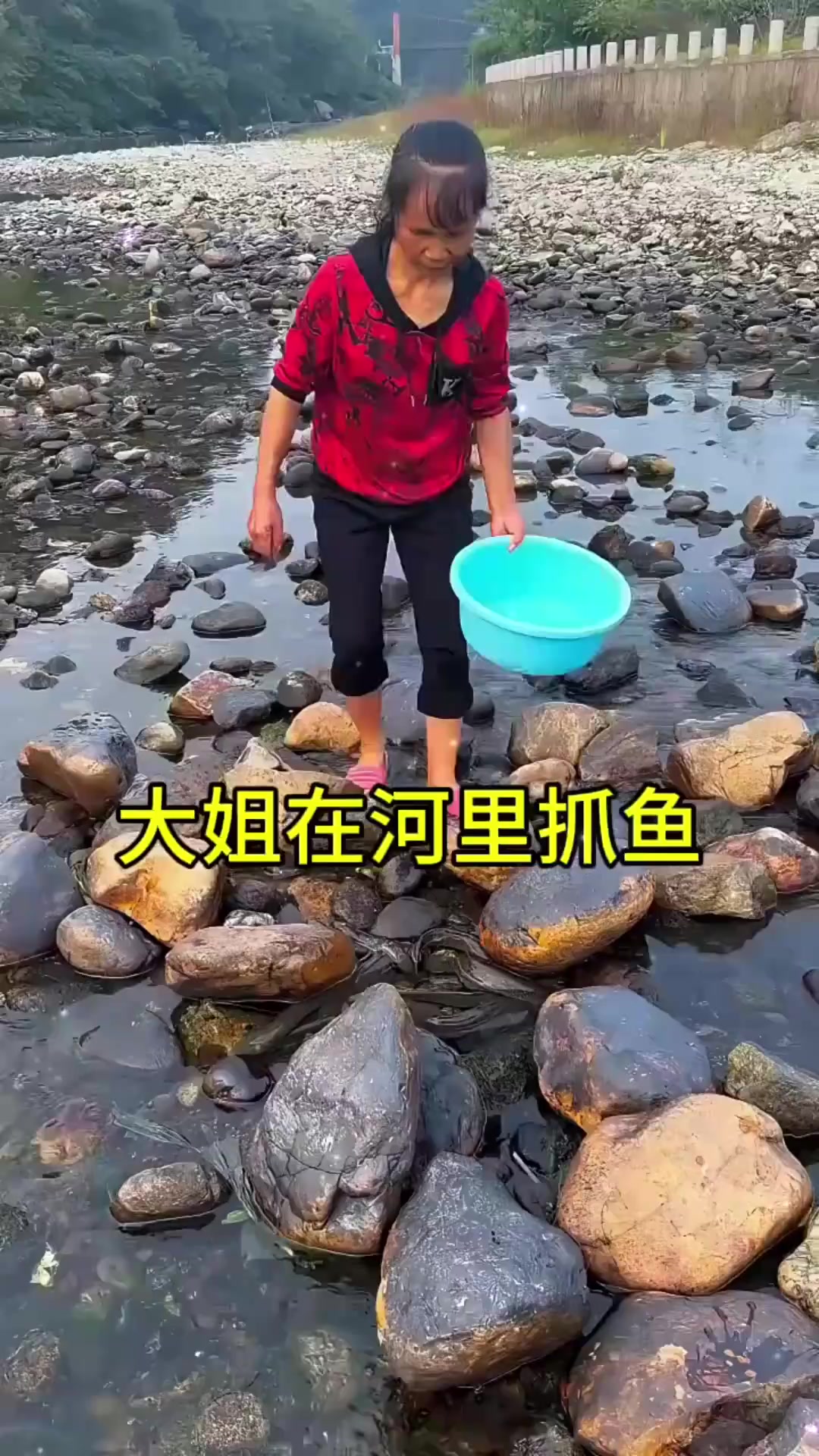 哈哈哈大姐在河里抓鱼