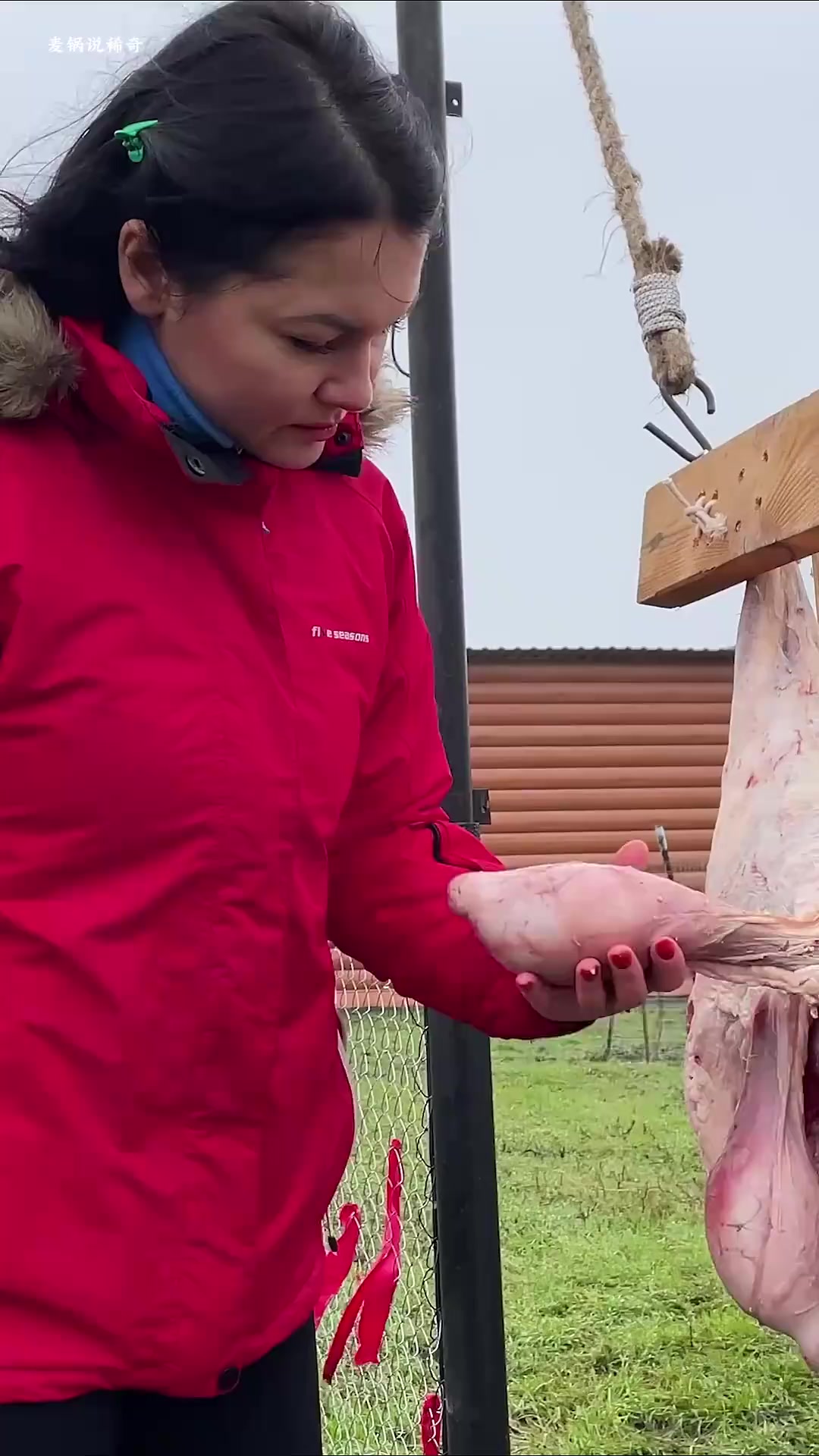 女人选了两块猪肉,将其切成条,放在油锅里炸,放上作料就好了