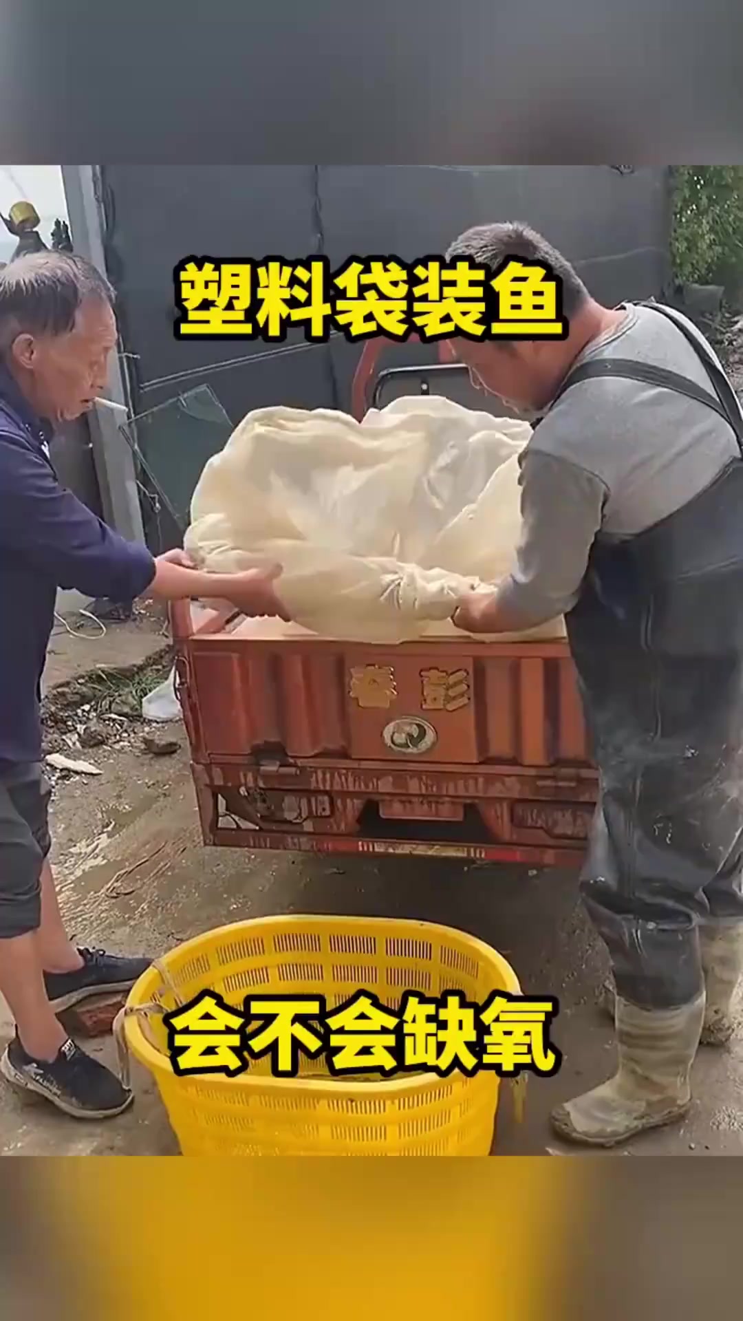 塑料袋装鱼，会不会缺氧！