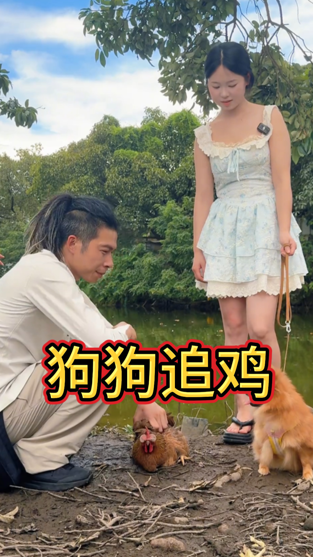 狗狗追鸡怎么办?