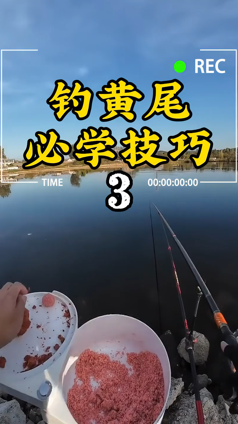 钓黄尾鱼竿的最佳长度?春天钓黄尾用什么味型诱鱼剂?