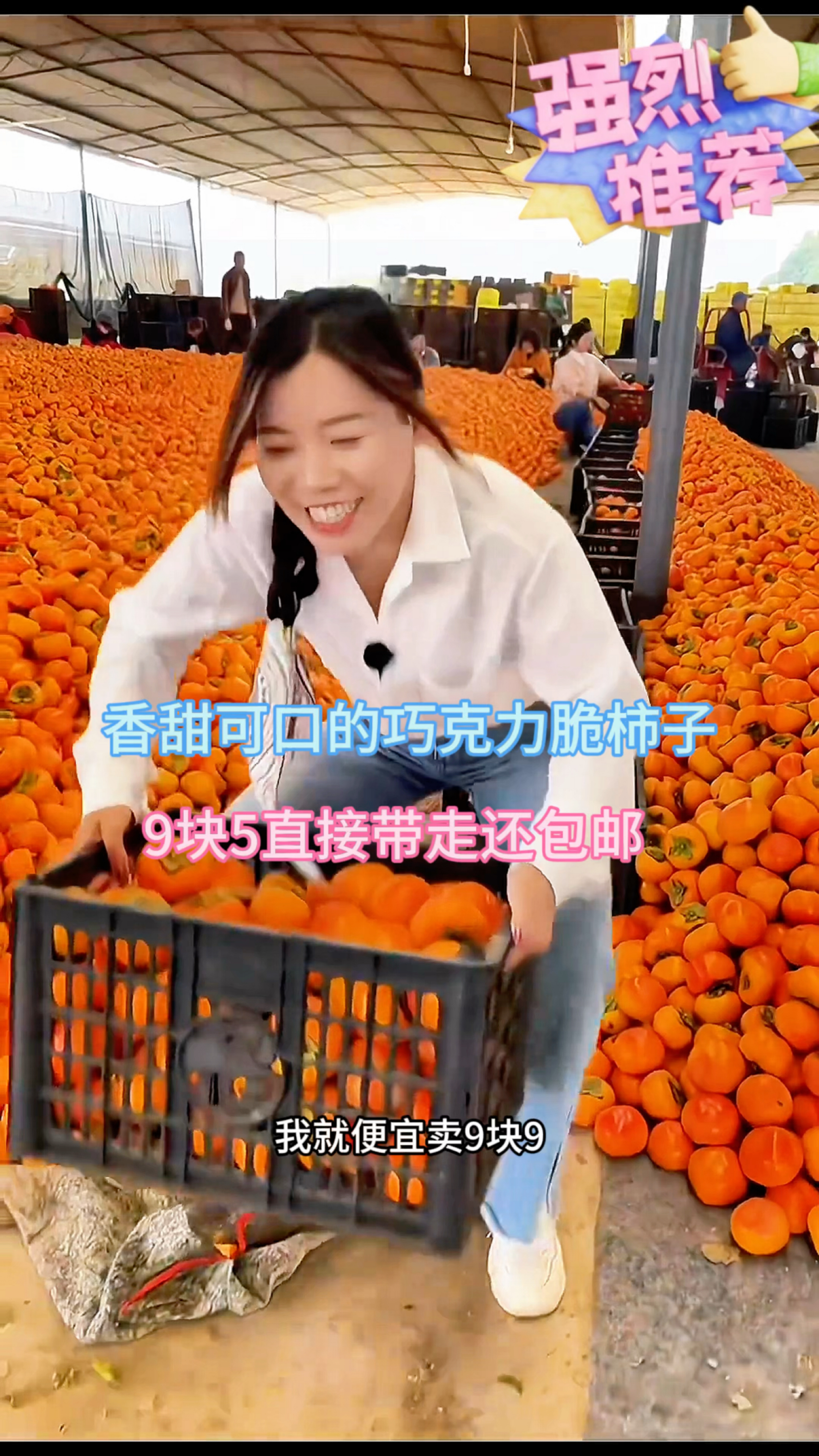 纯甜巧克力脆柿子真的特别好吃