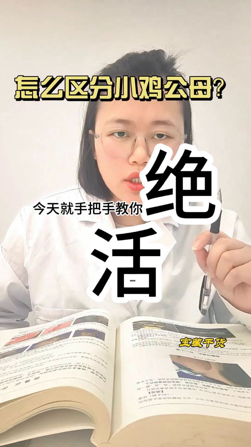 小鸡的养殖技巧,刚出壳的小鸡崽怎么分公母?