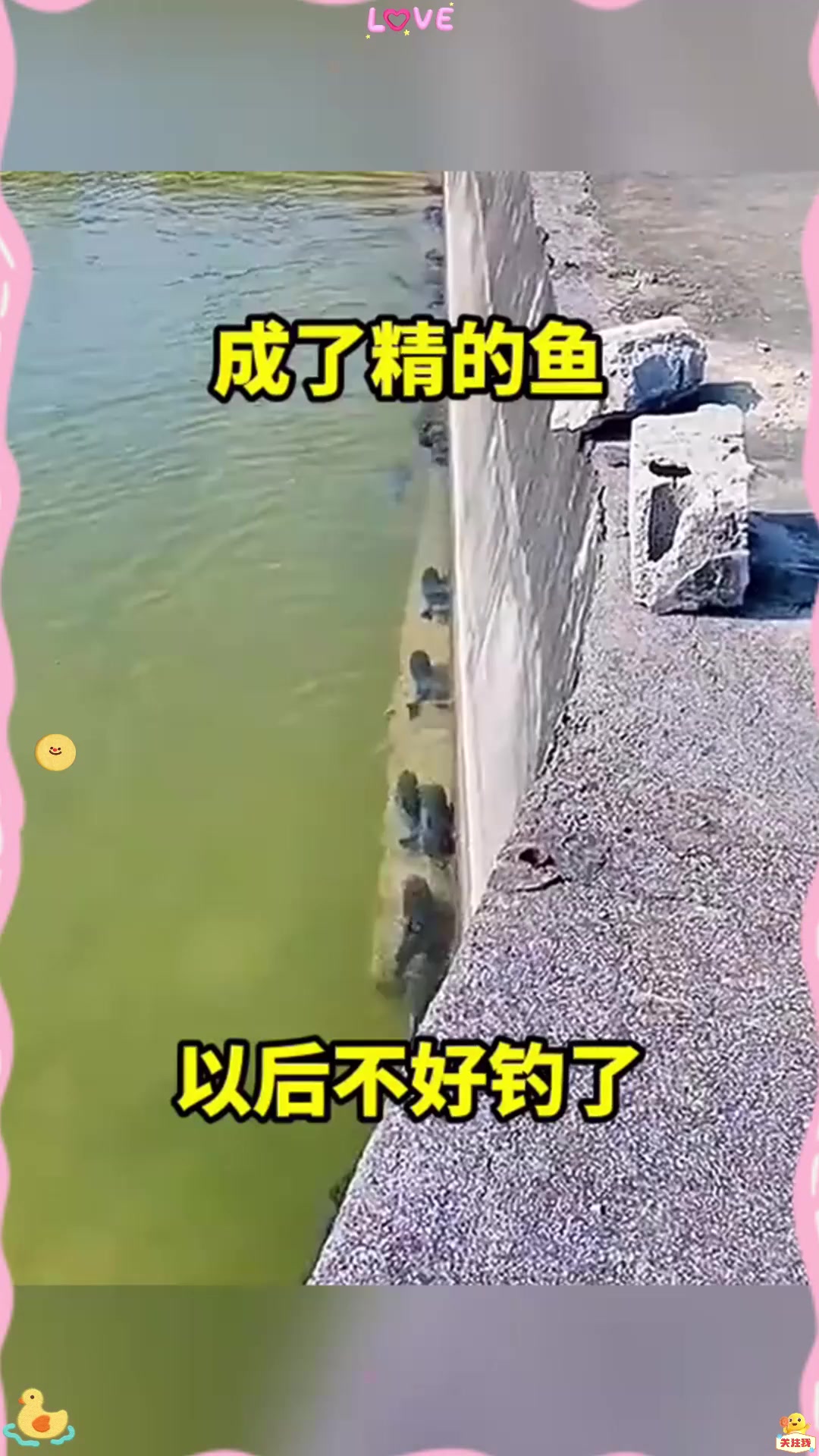 成了精的鱼！！！！