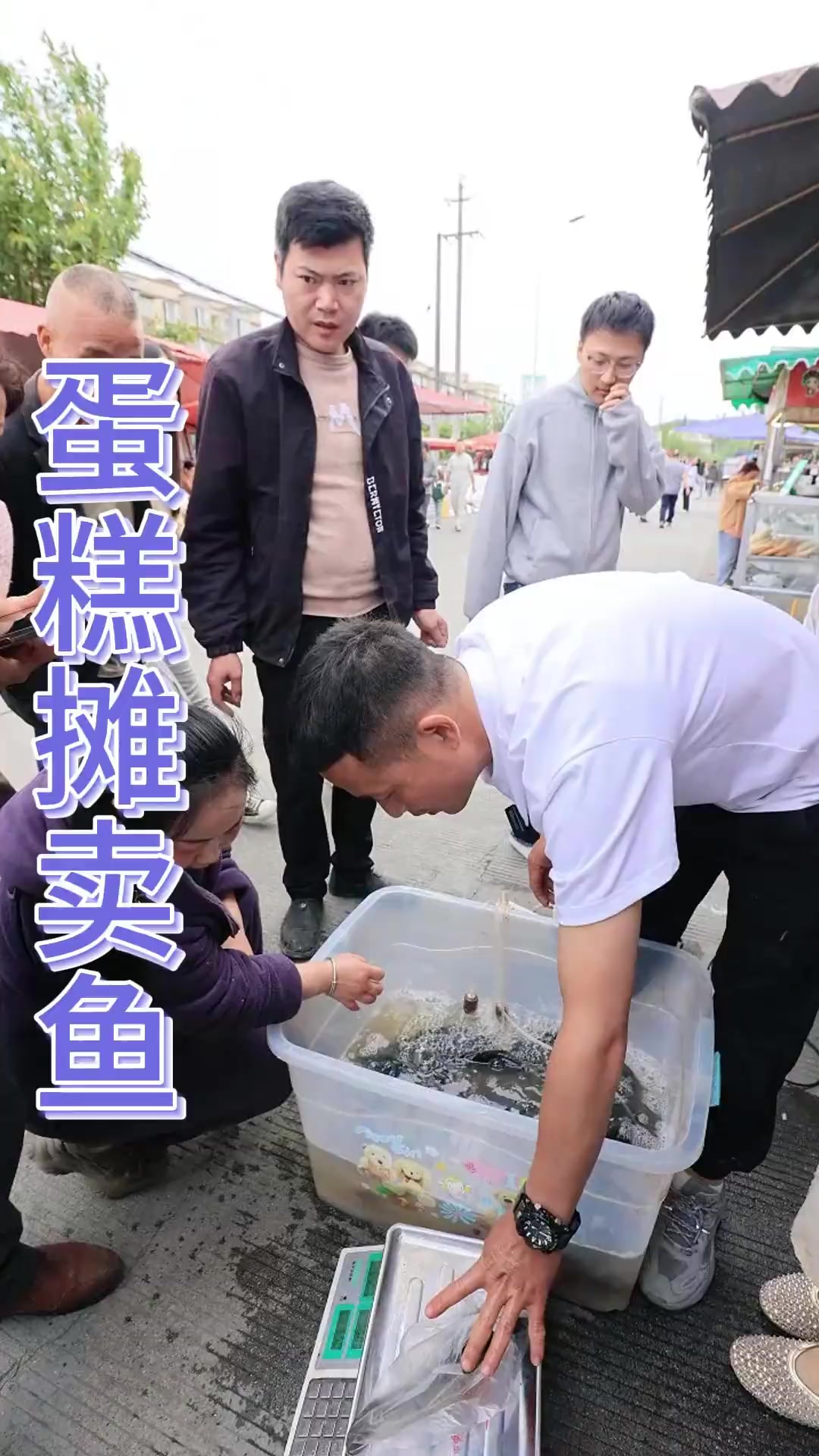 钓鱼要的是漂动！卖鱼是心动