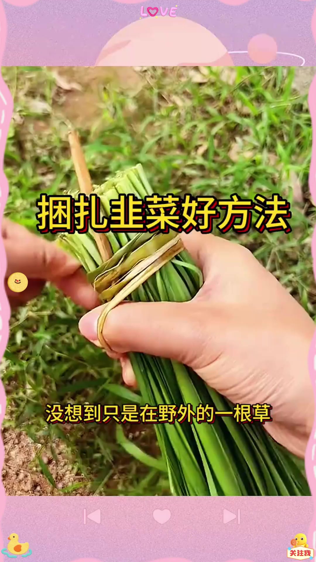 捆扎韭菜好方法，这一招太实用了