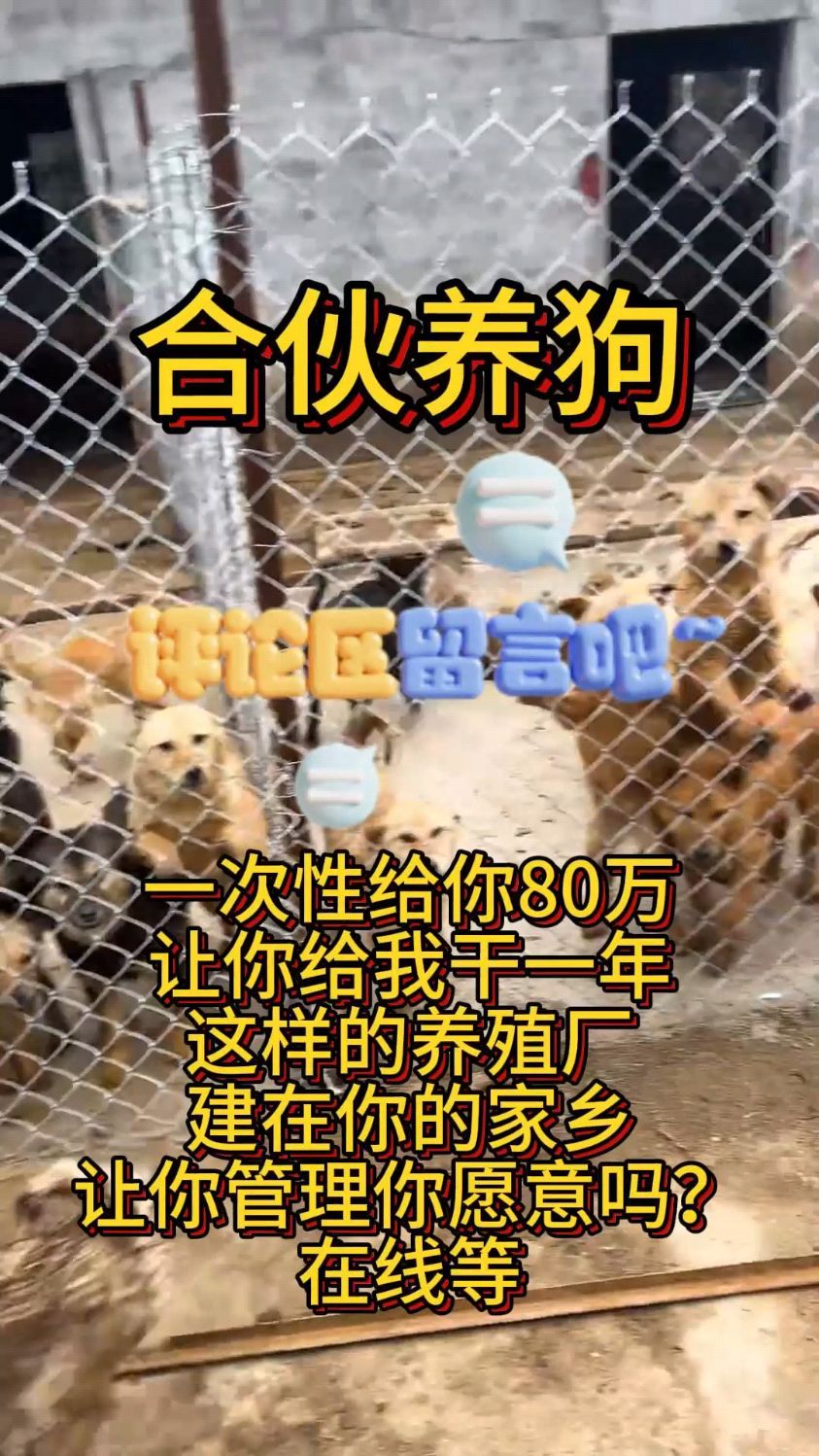 合伙养狗,肉狗苗,大型肉狗养殖基地