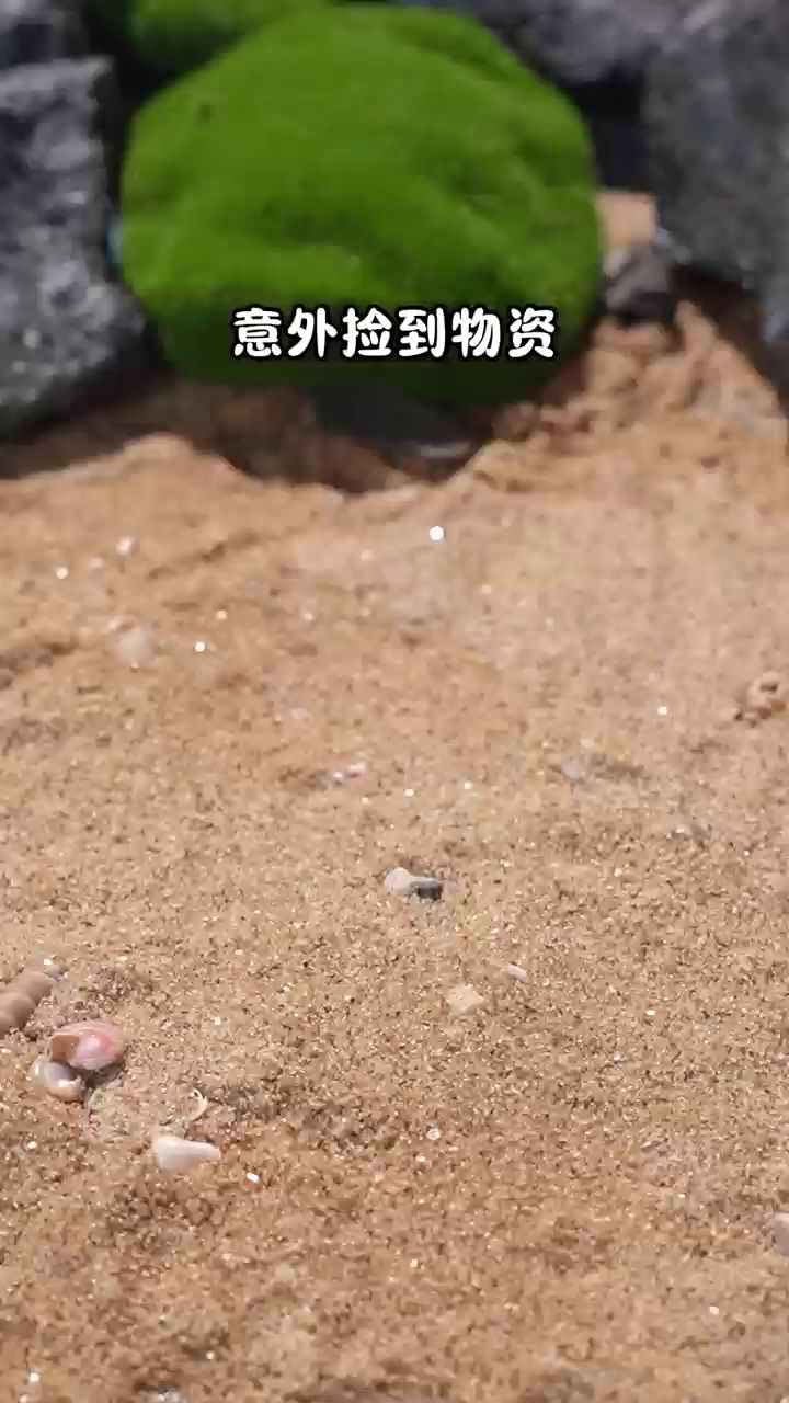 迷你厨房自制汉堡套餐