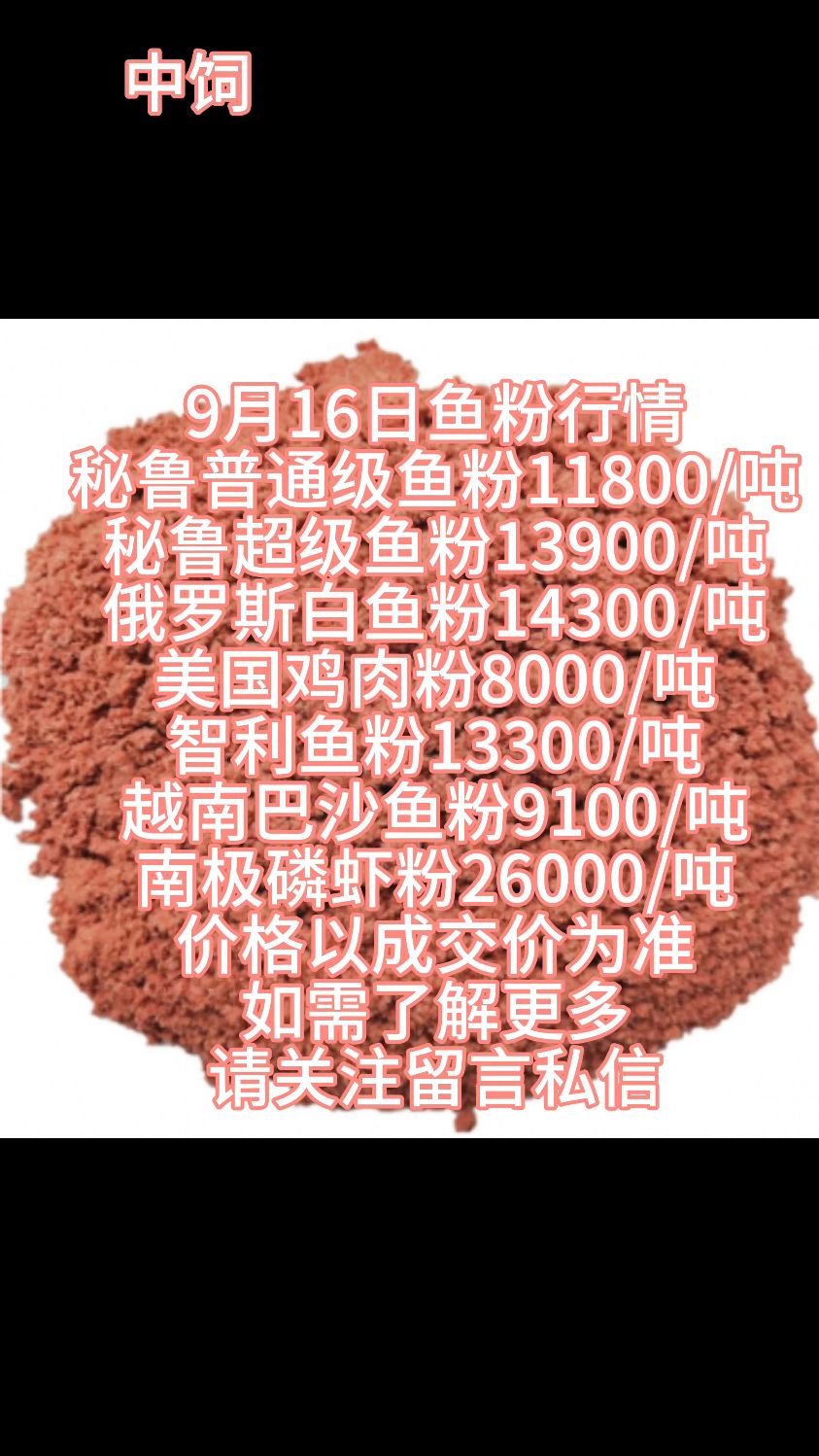 2025年9月16日进口鱼粉行情#进口鱼粉 #饲料添加剂 #秘鲁鱼粉