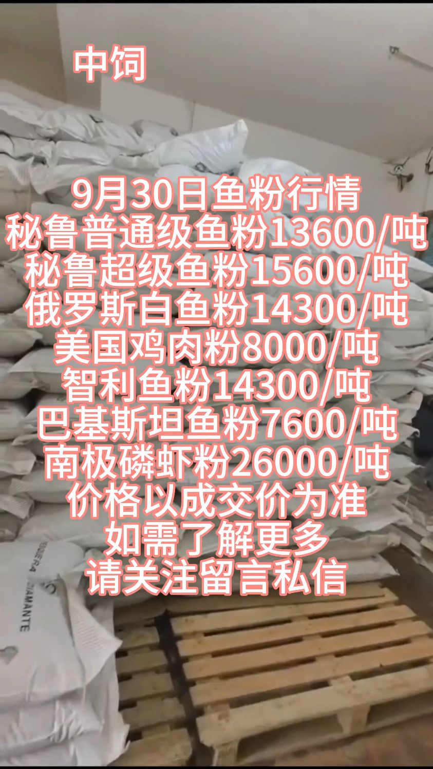 2025年9月30日进口鱼粉行情#饲料原料 #秘鲁鱼粉 #进口鱼粉