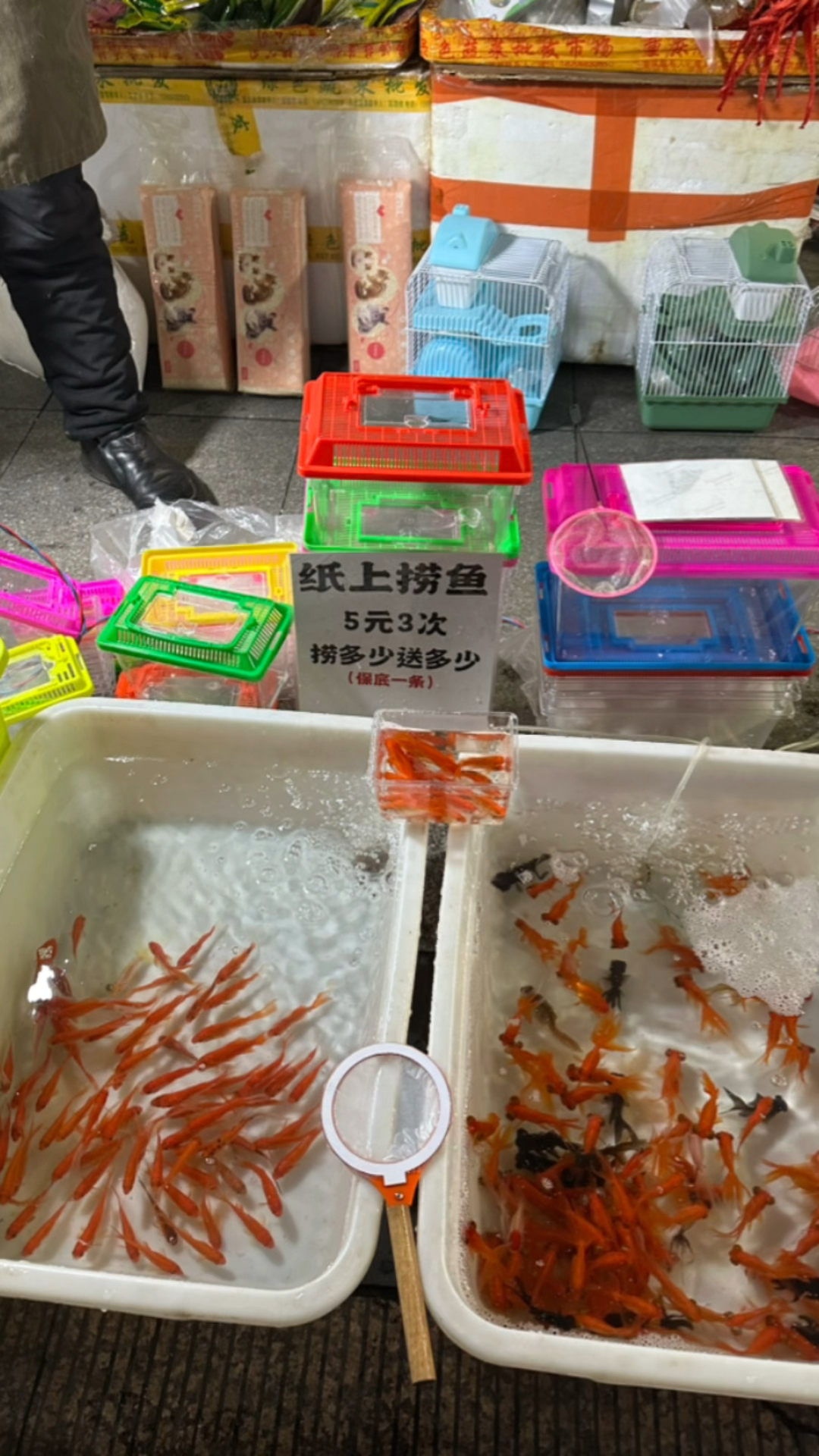 玩纸上捞鱼,用纸网捞18次我们看可以捞到多少条小金鱼!