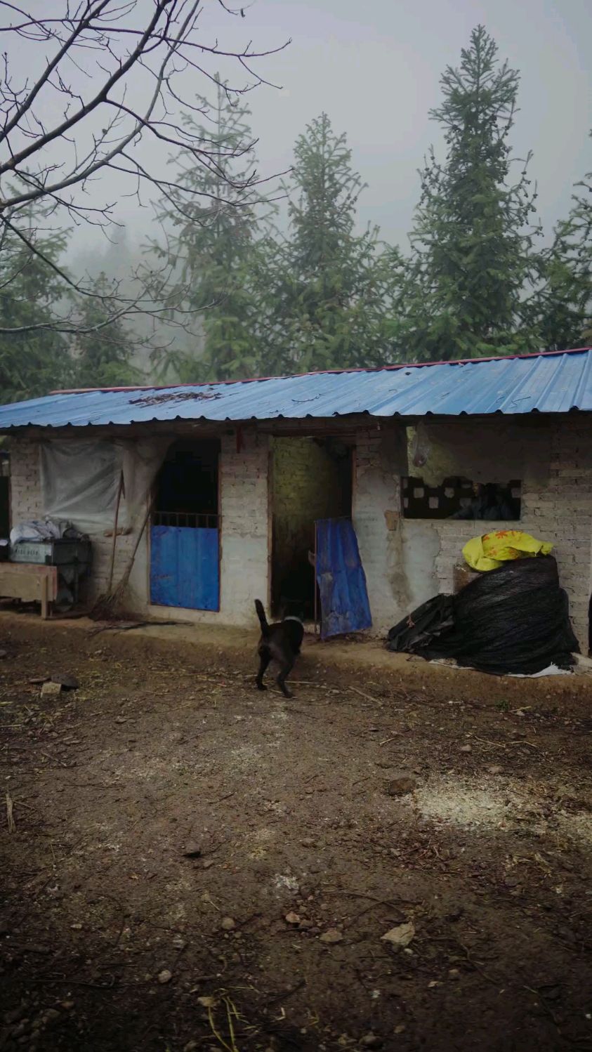 刨汤肉这样用糟辣椒炒，很好吃！刨汤饭上你喜欢吃什么菜？