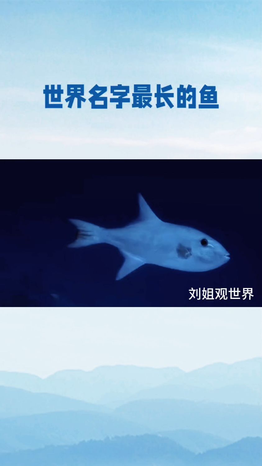 世界名字最长的鱼。
