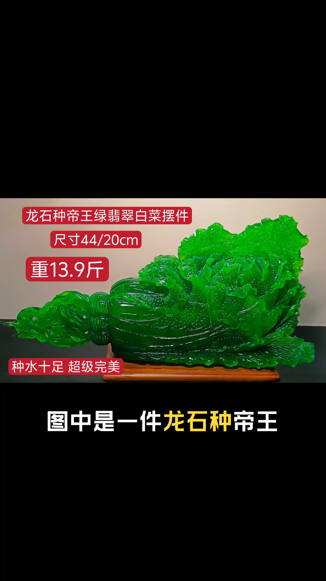 龙石种帝王绿翡翠白菜