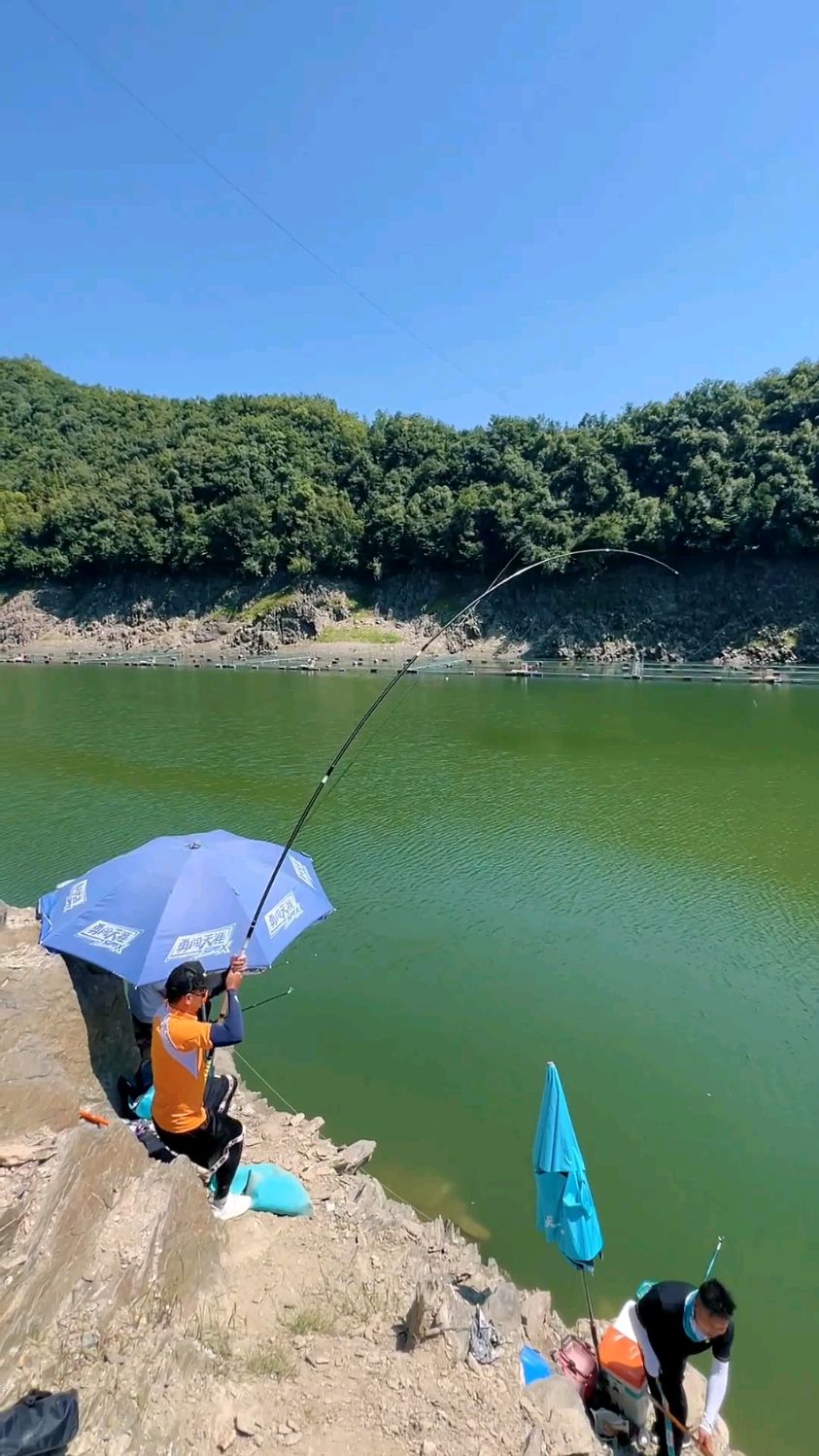 探钓陕西安康瀛湖、这里山体陡峭、水质清澈、大白条子力道十足