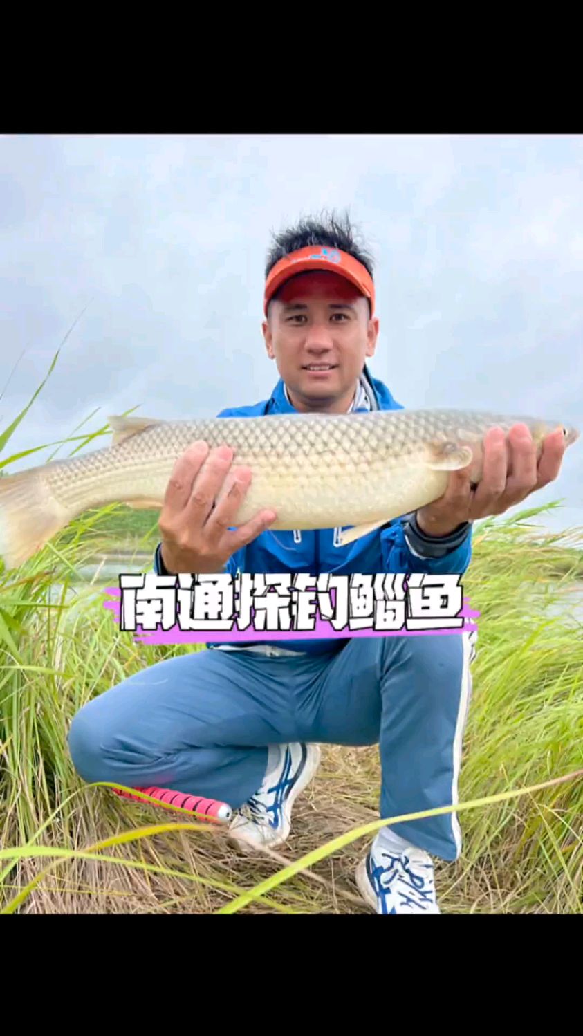 江苏南通海荡子探钓大鲻鱼、鲻鱼的拉力真的是太刺激啦