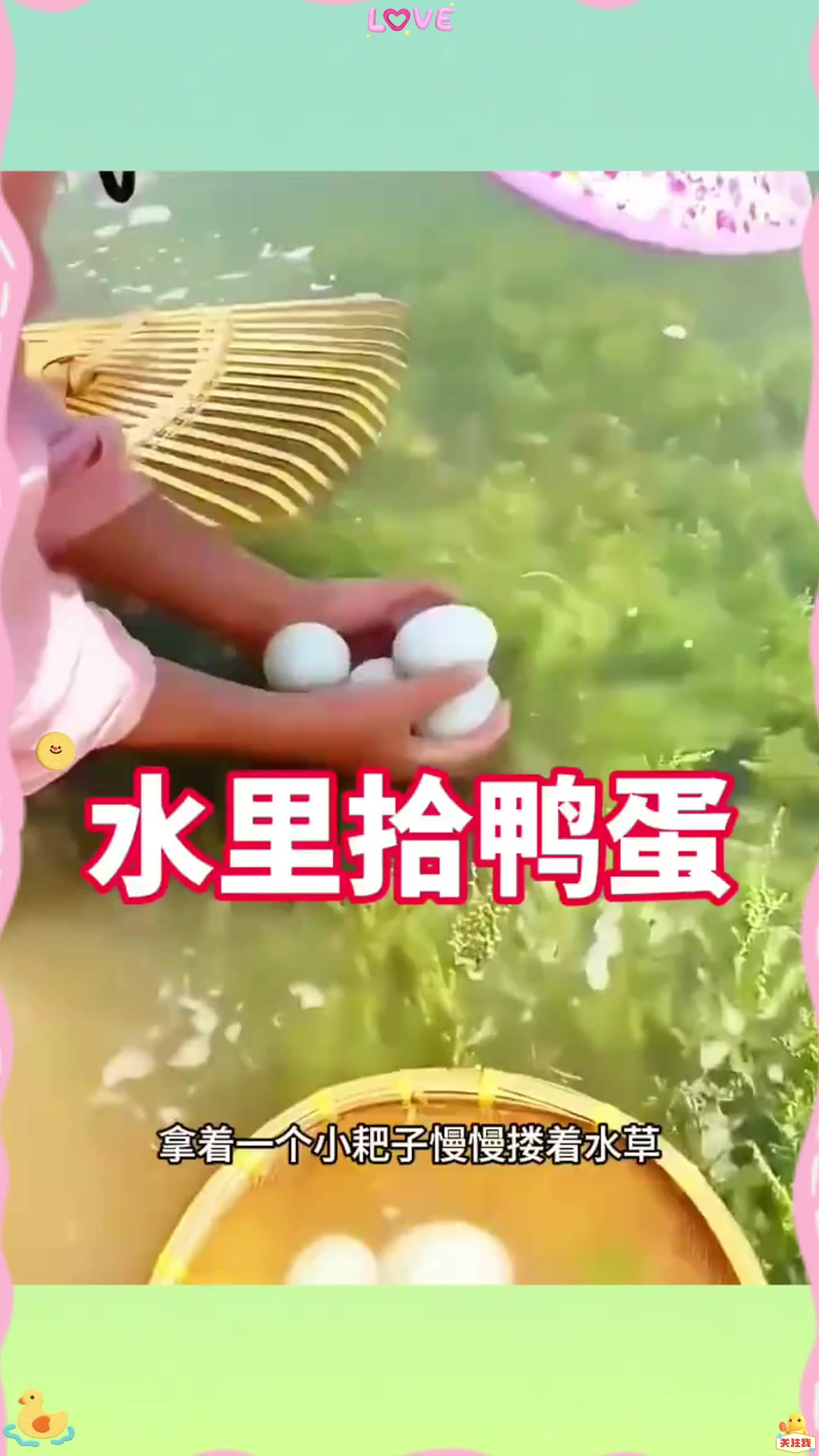 水里捡鸭蛋,运气真好