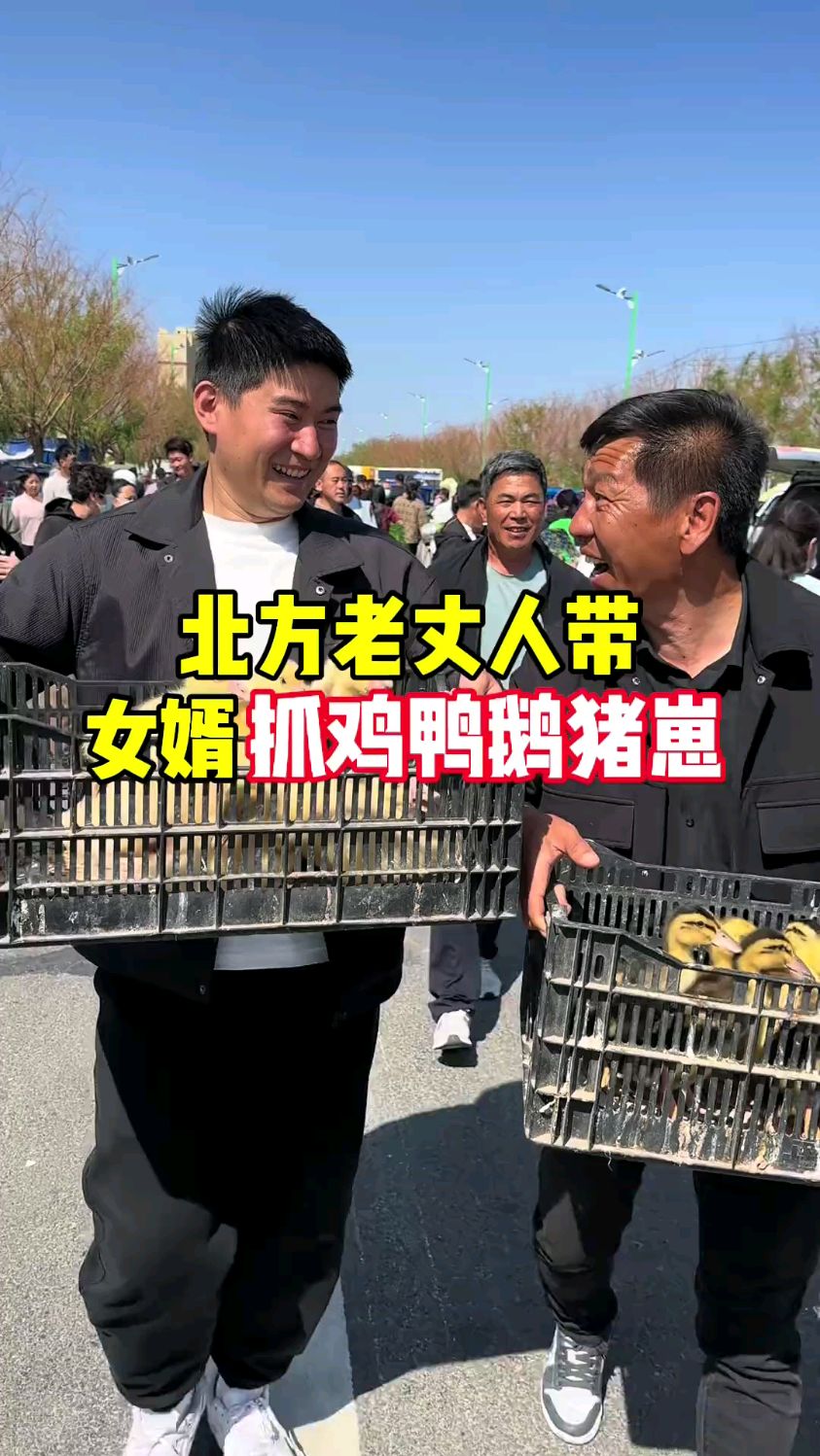 北方老丈人赶大集抓鸡鸭鹅猪崽