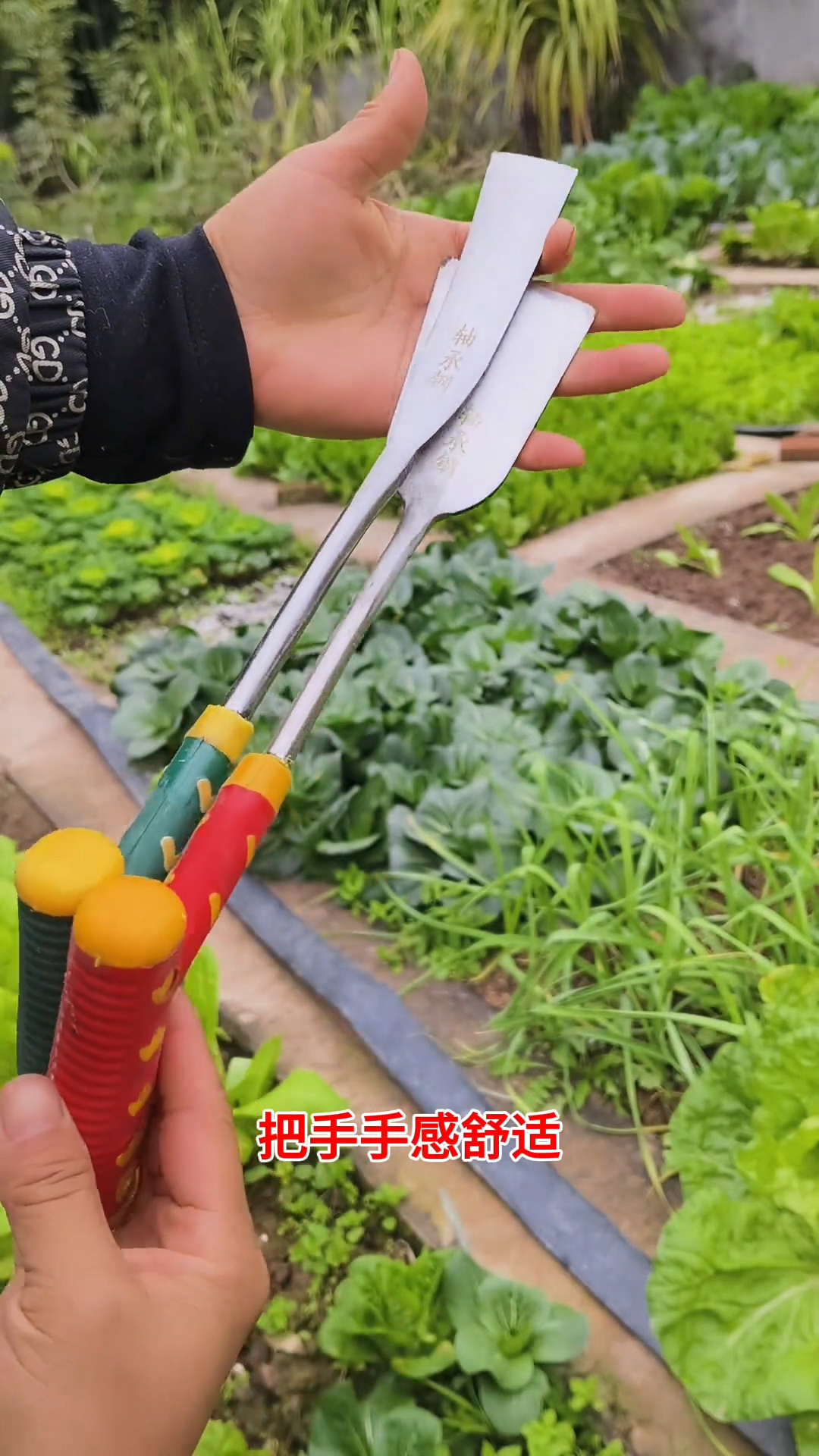 这个小铲子挖野菜,挖葱,挖蒜挖荠菜,嘎嘎好用 #超便宜超划算
