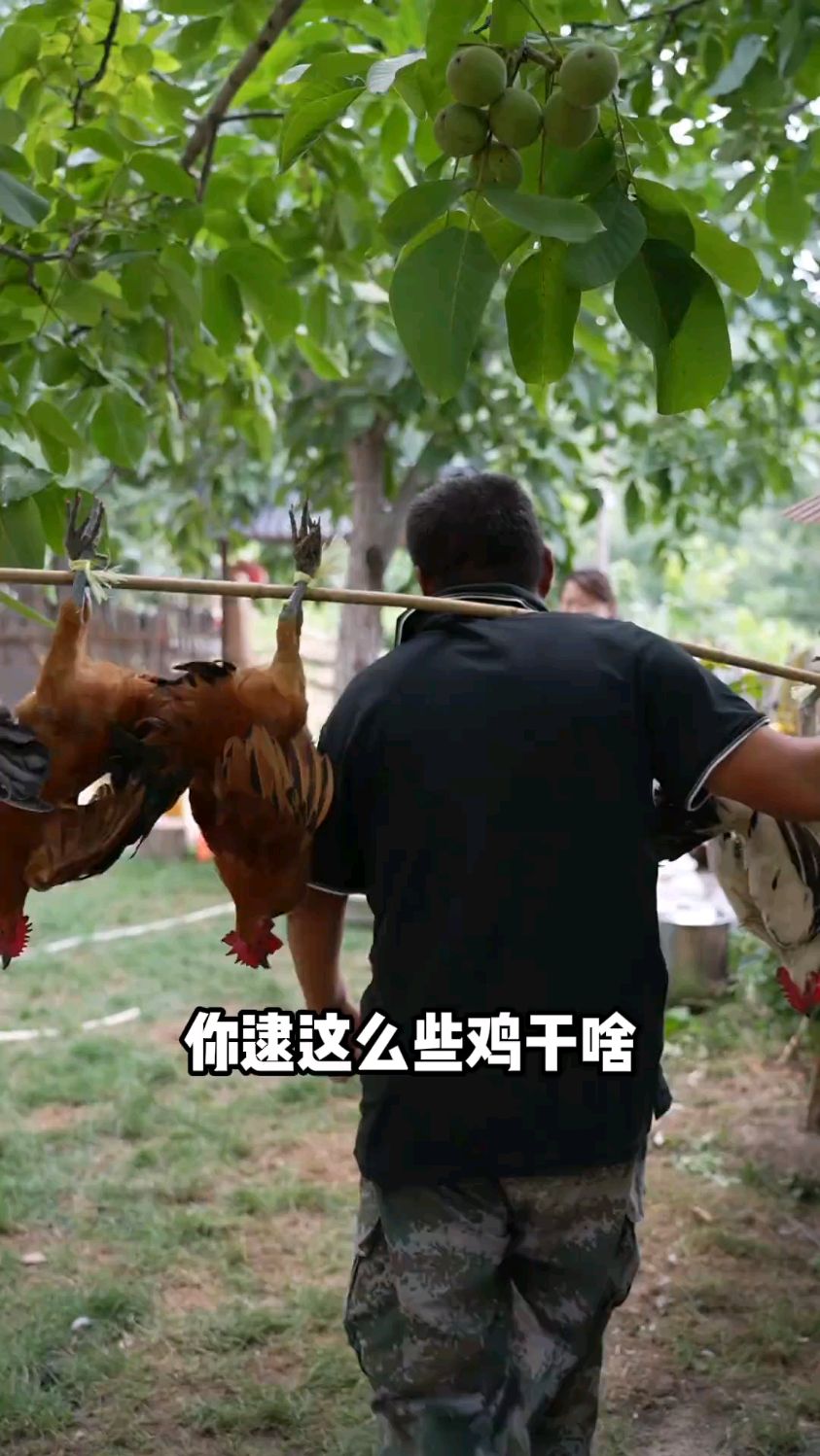 软烂脱骨的德州扒鸡是怎么做的,今天带大家看看