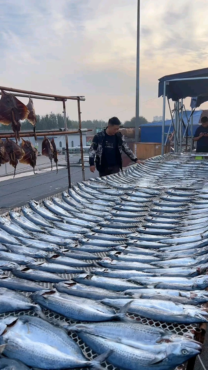 一卤鲜燕鲅鱼 鲅鱼的做法