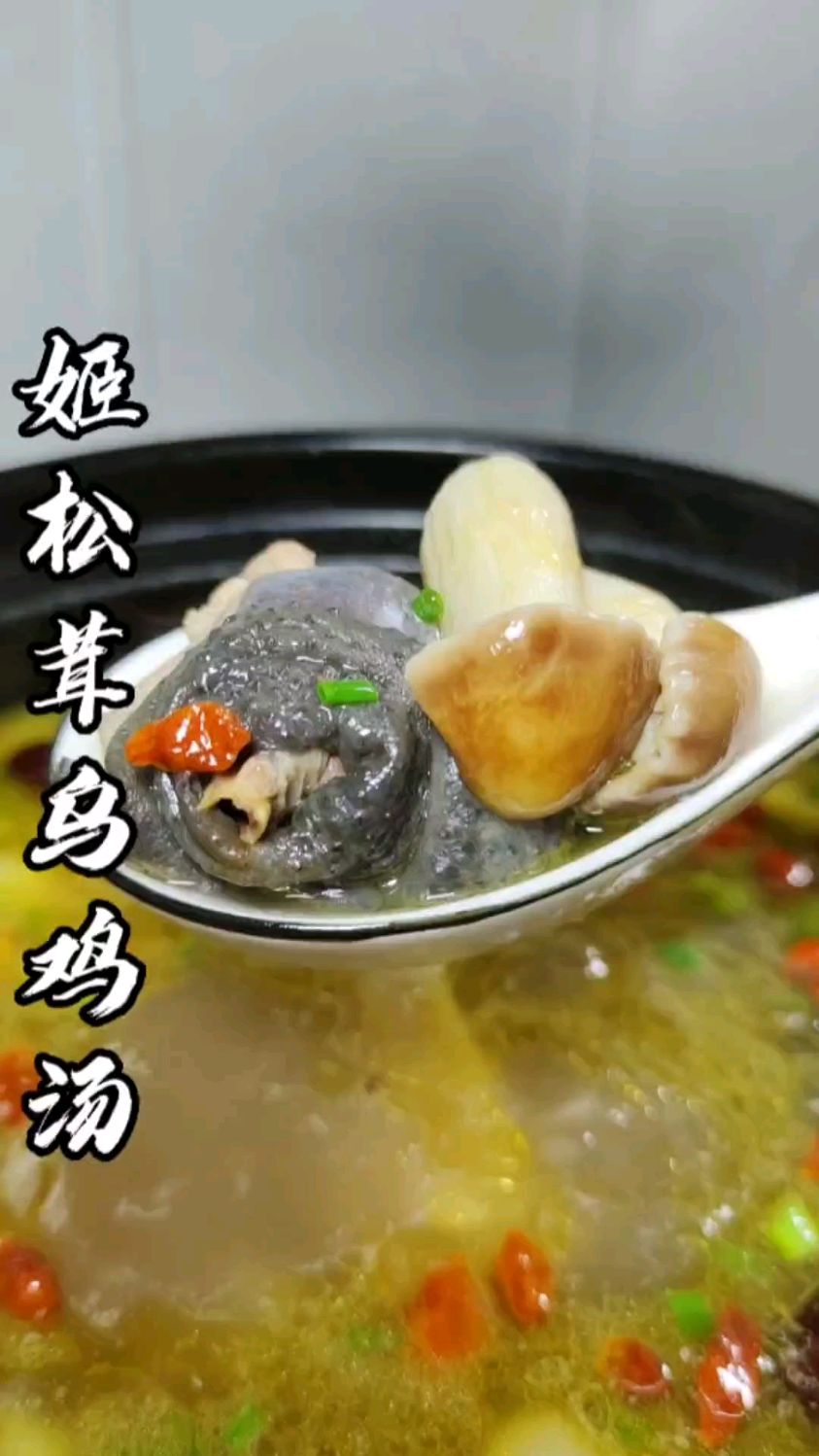姬松茸乌鸡汤！！