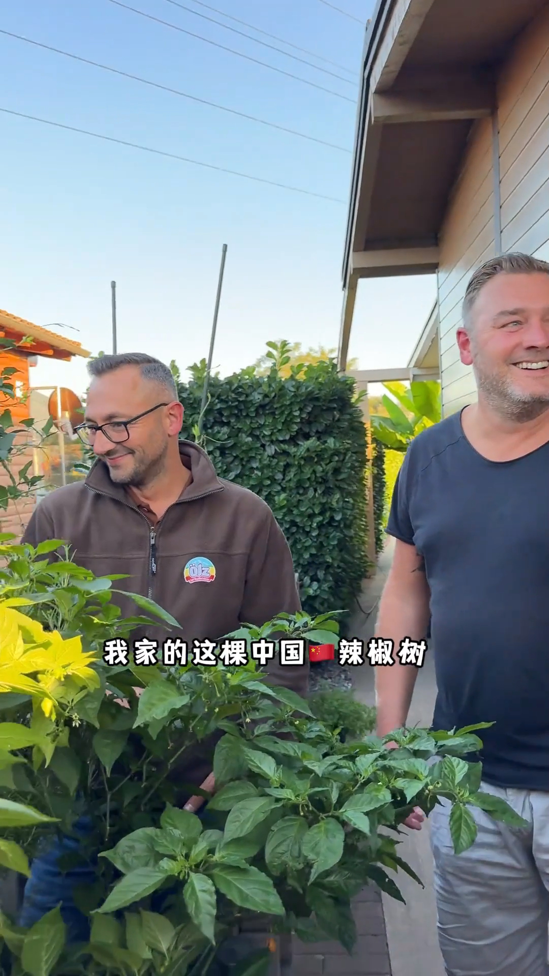 他们都在感叹：中国的蔬菜品种也太多了！