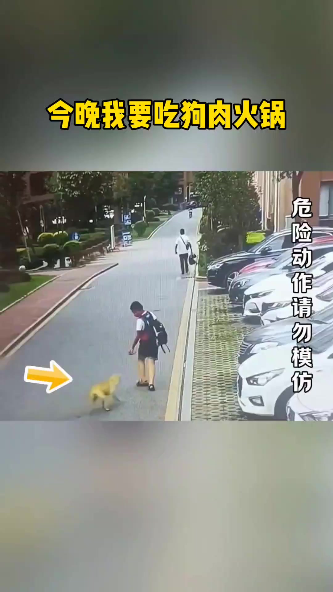 今晚我要吃狗肉火锅!