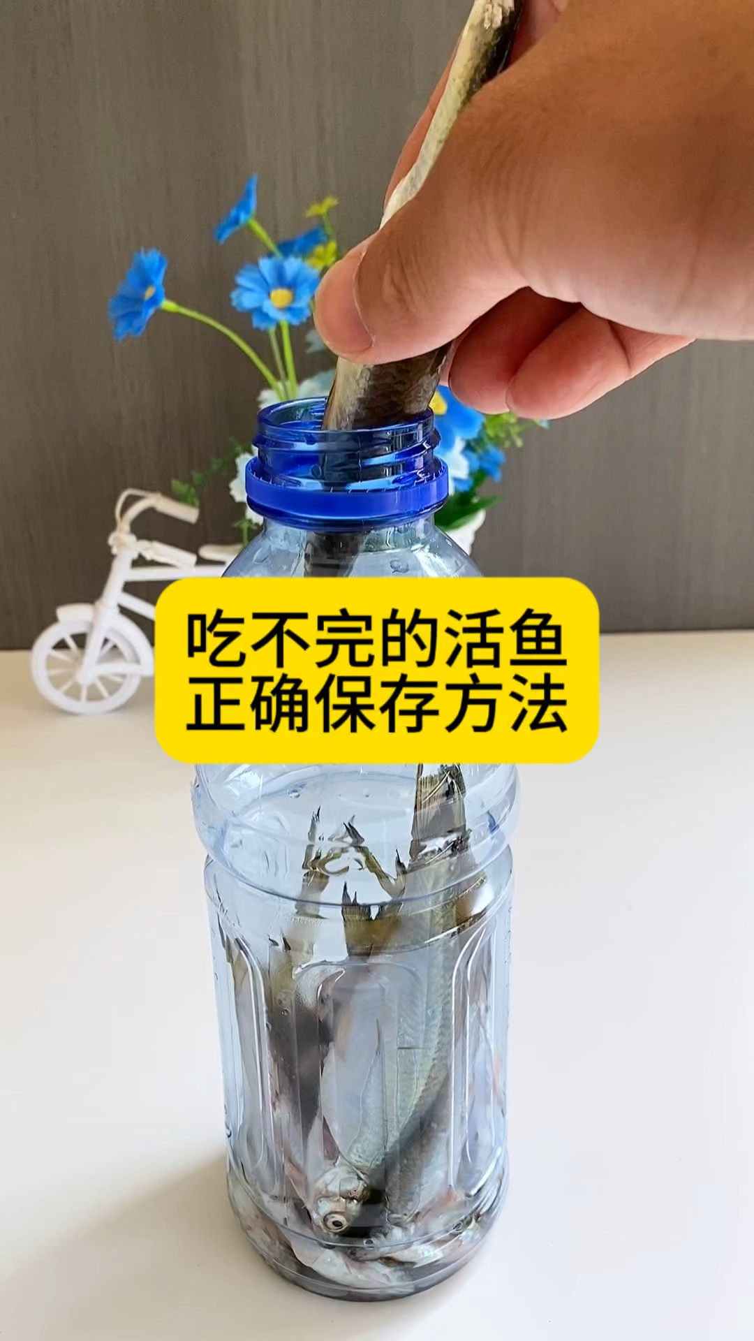 活鱼这样存放持久新鲜