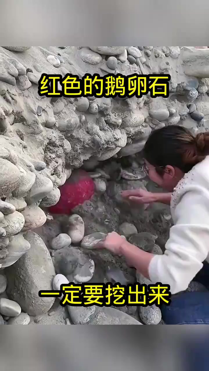 发现稀有红色鹅卵石,珍贵到几乎不愿意交换房子!