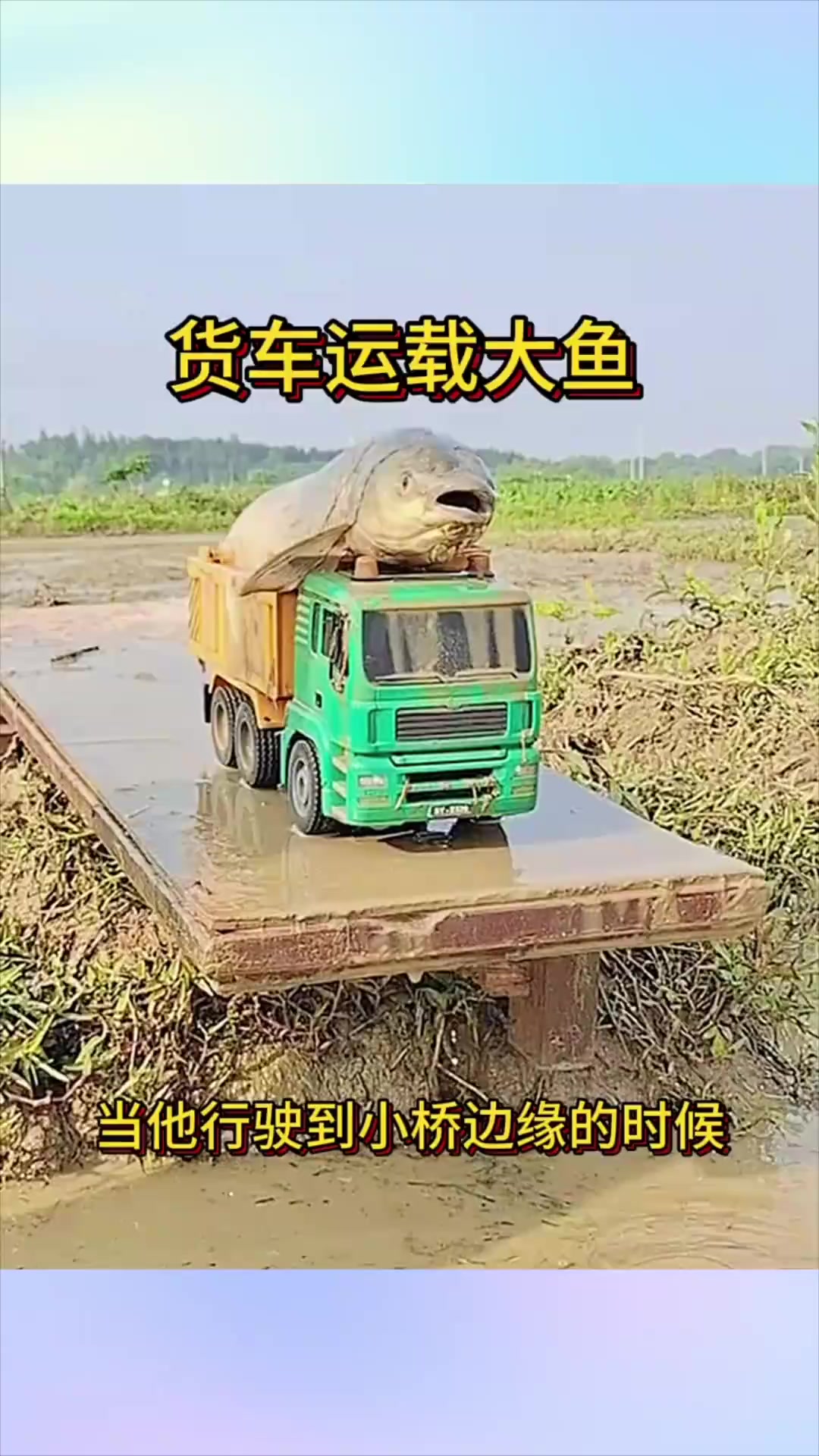 奇幻一幕:货车运大鱼翻车掉桥,车鱼共沉水底