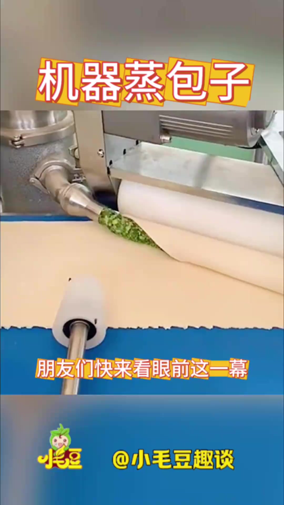 “机械化包子制作引发的神秘现象：是否预示着未来的美食危机？”