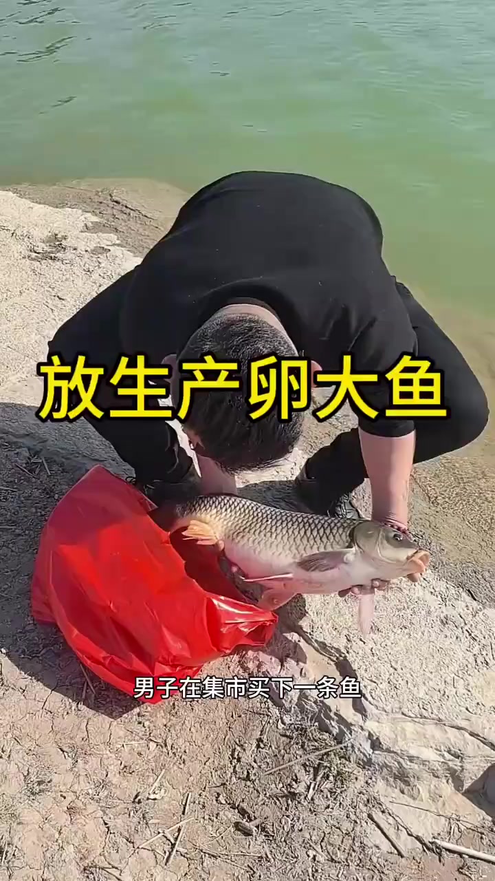 善待生命的男子：放生鱼助无数生命延续，值得我们学习与赞美