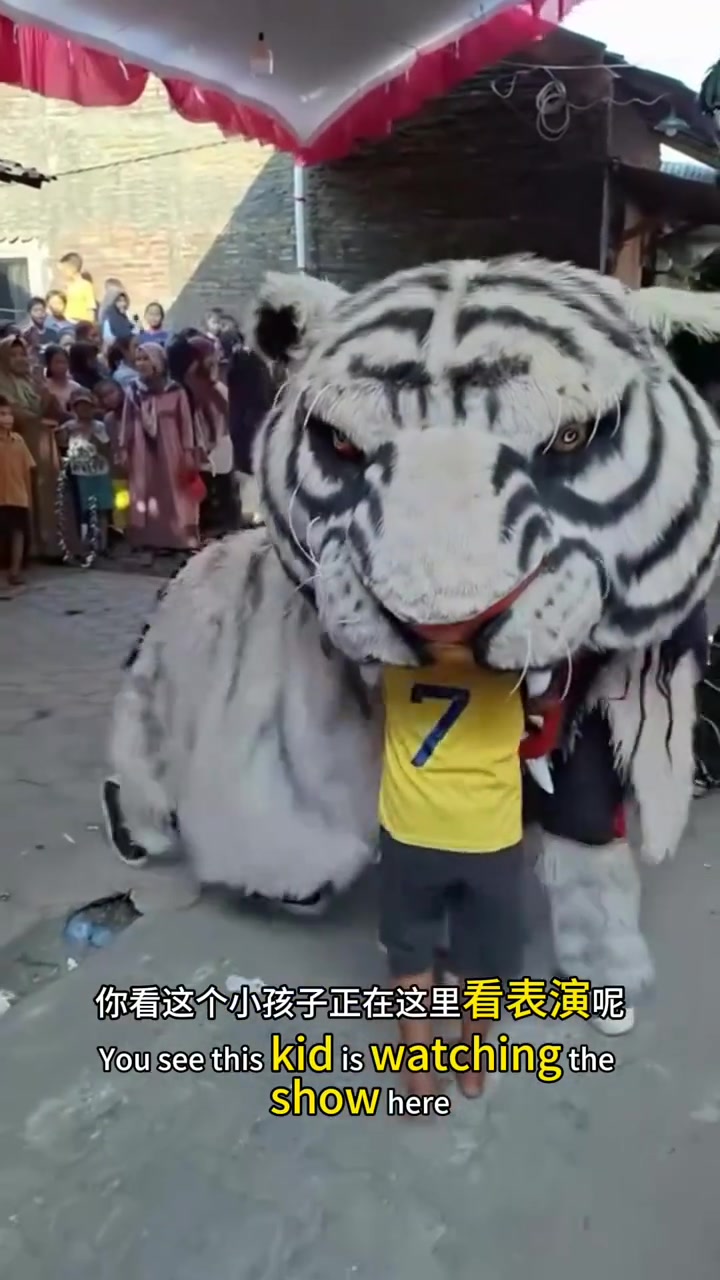 儿童表演中老虎吞人,真实与幻影交错的惊悚瞬间