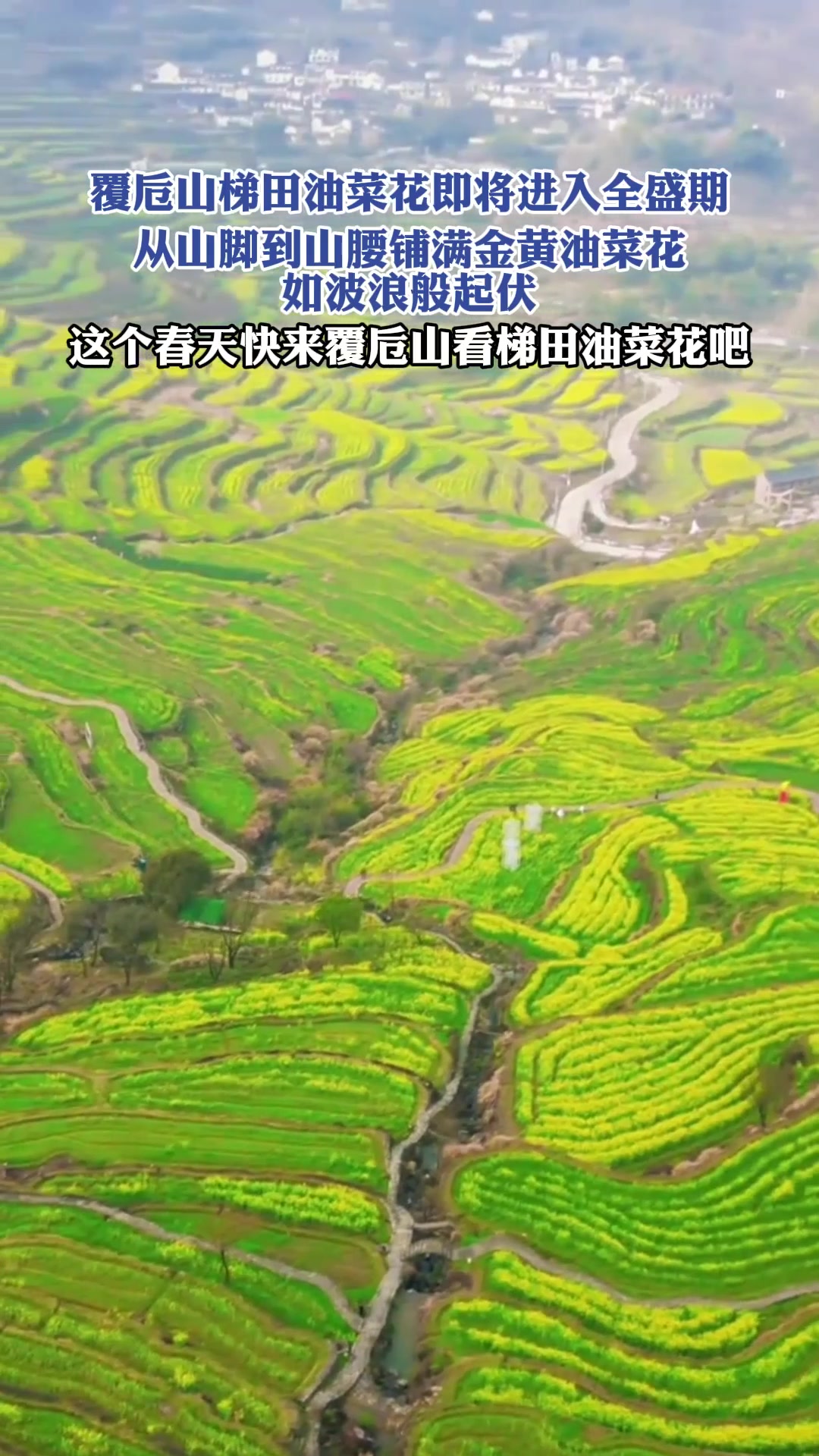 这个春天快来覆卮山看梯田油菜花吧