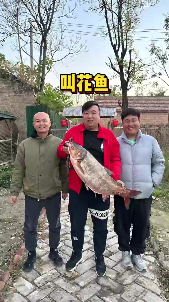 叫花鱼～有来吃的不……!